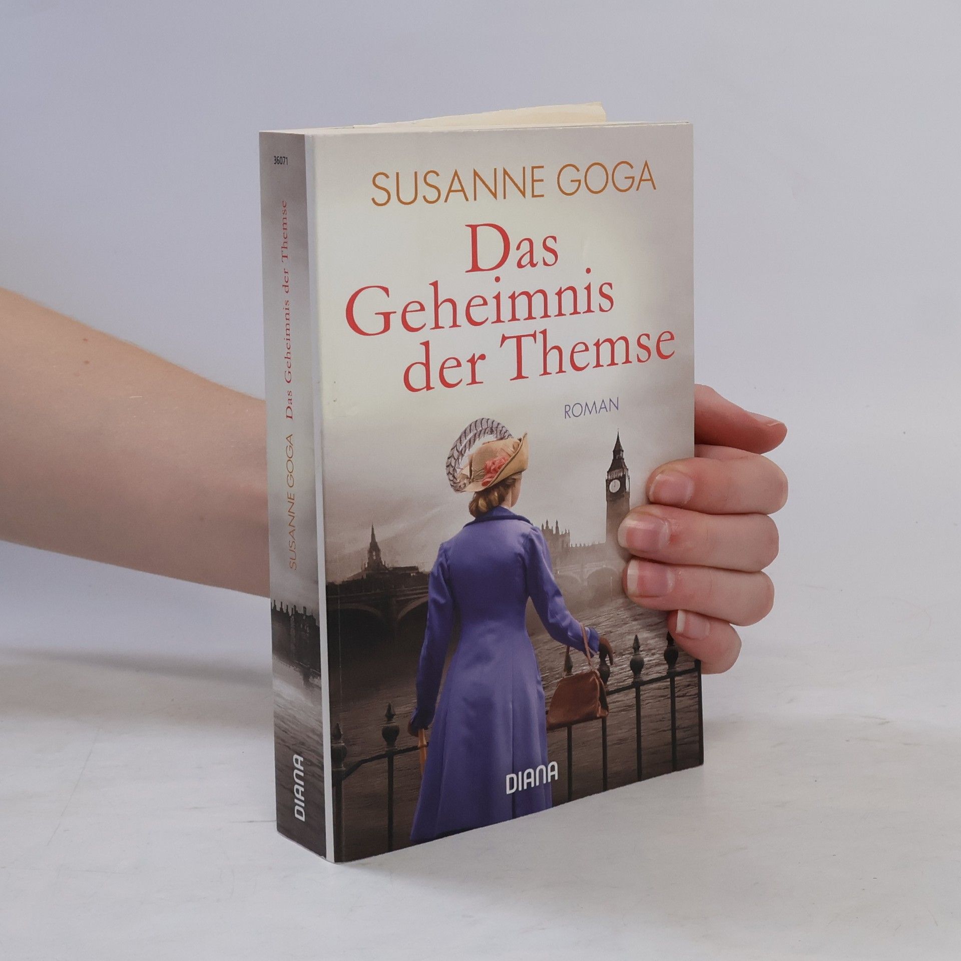 Susanne Goga Das Geheimnis der Themse