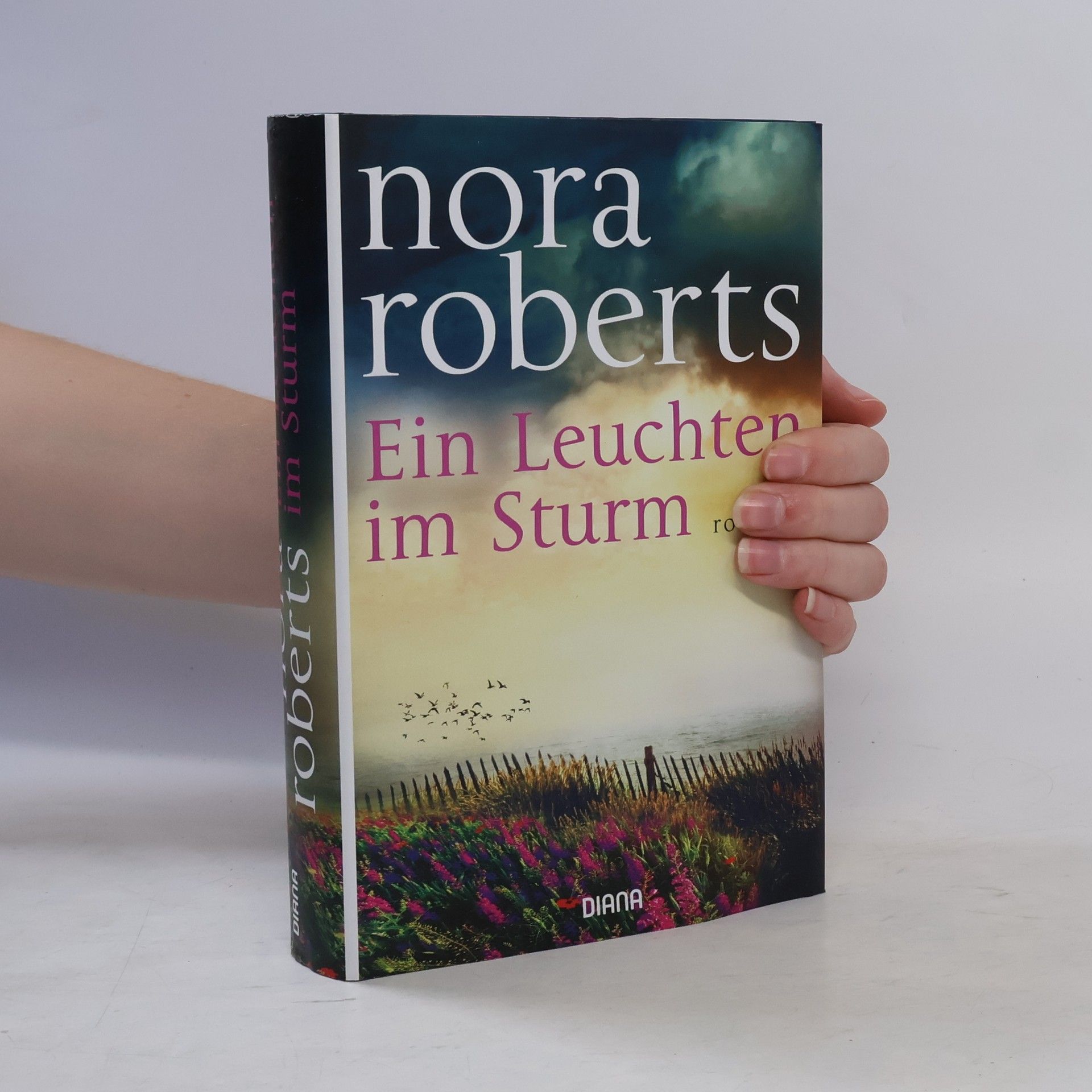 Nora Roberts Ein Leuchten im Sturm
