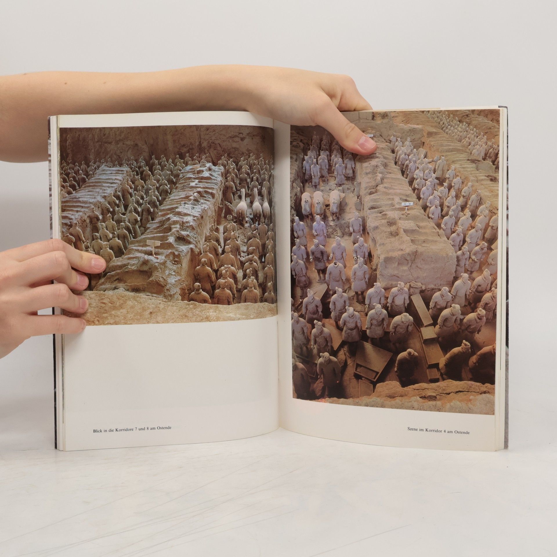 Autorenkollektiv Krieger- und Pferdefiguren aus Ton am Muasoleum von Qin Shi Huang, dem Ersten Kaiser von China