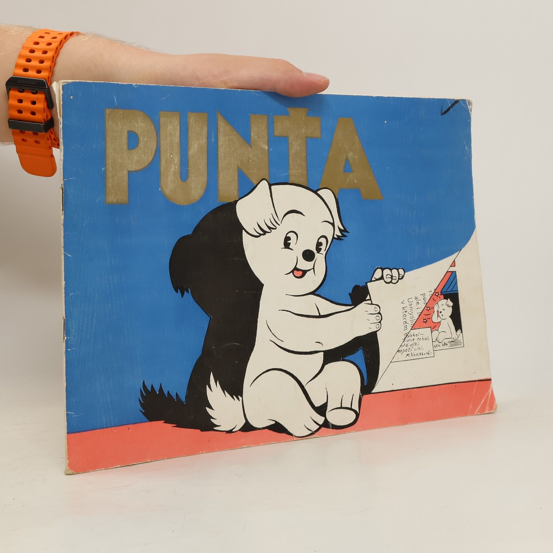 Blanka Svačinová Punťa