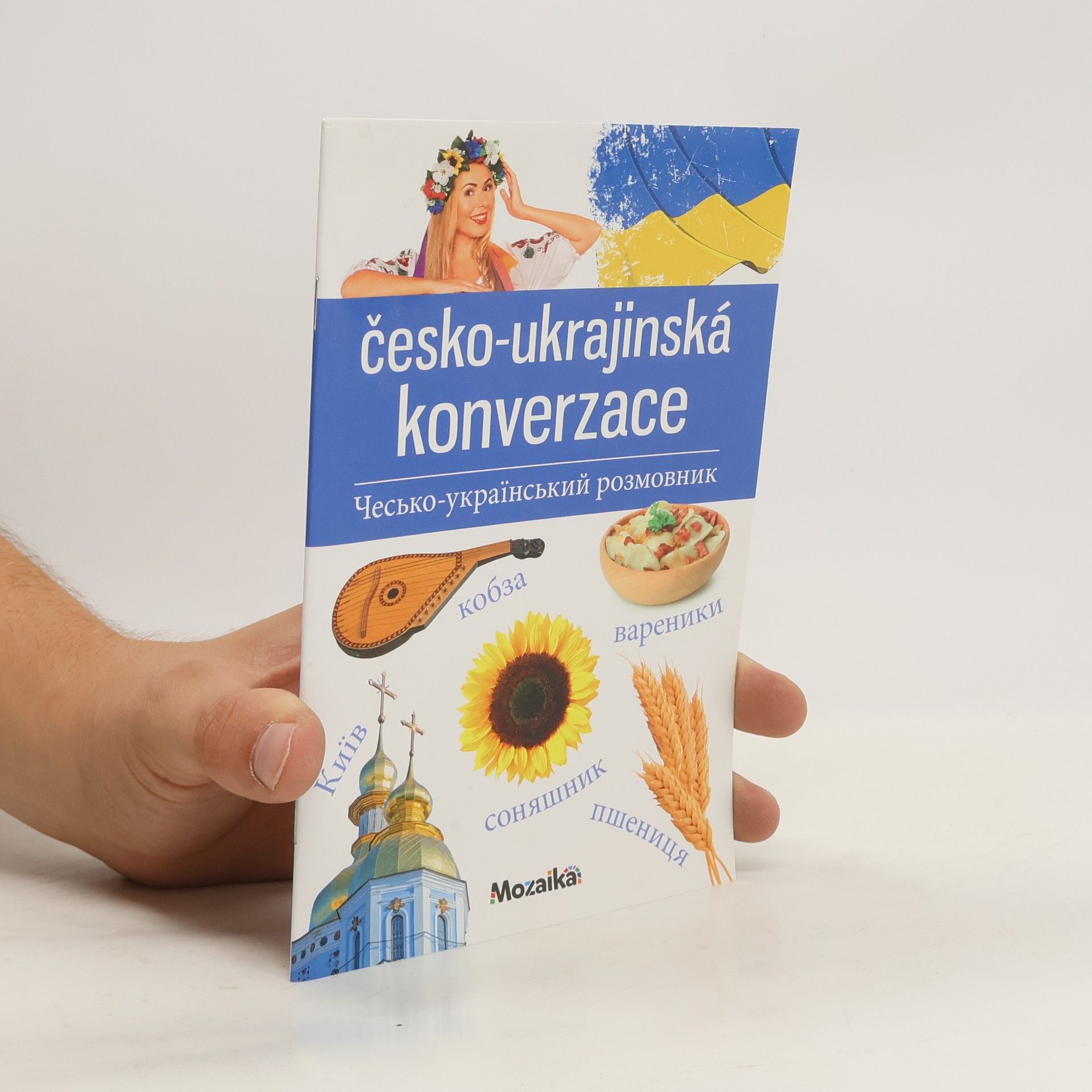 Autorenkollektiv Česko-ukrajinská konverzace