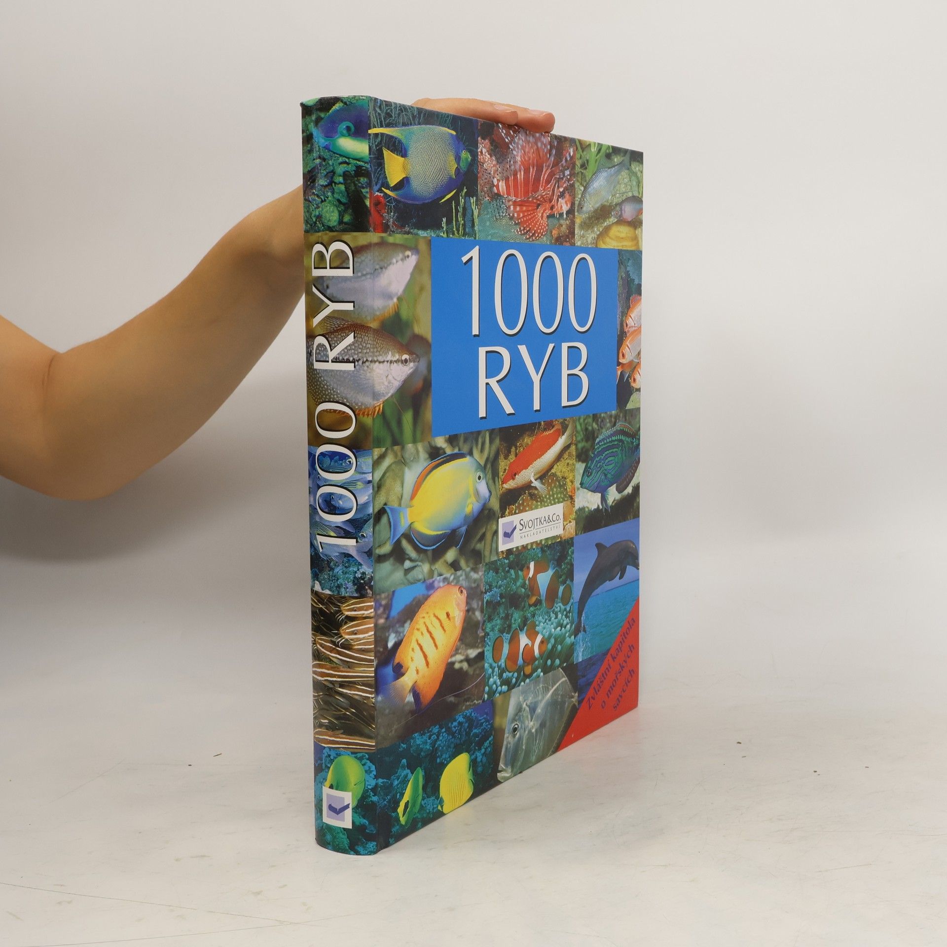 Collectif d'auteurs 1000 ryb