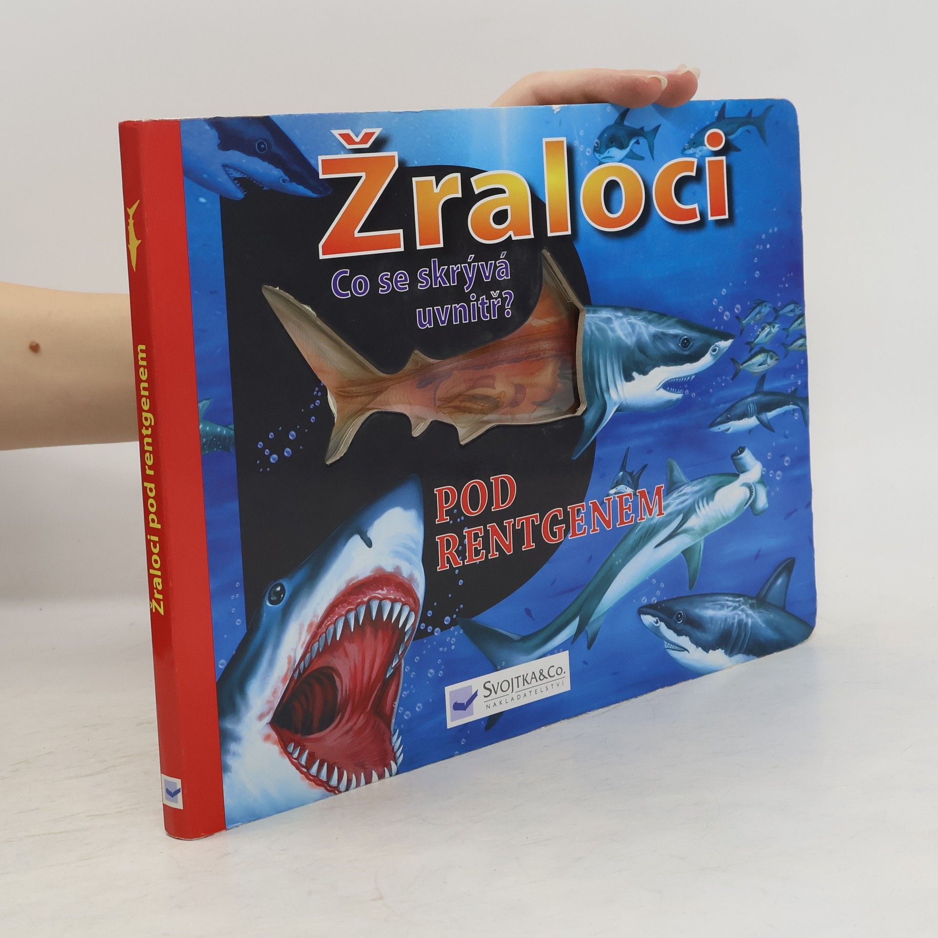 Jaroslav Kučera Žraloci pod rentgenem : co se skrývá uvnitř?
