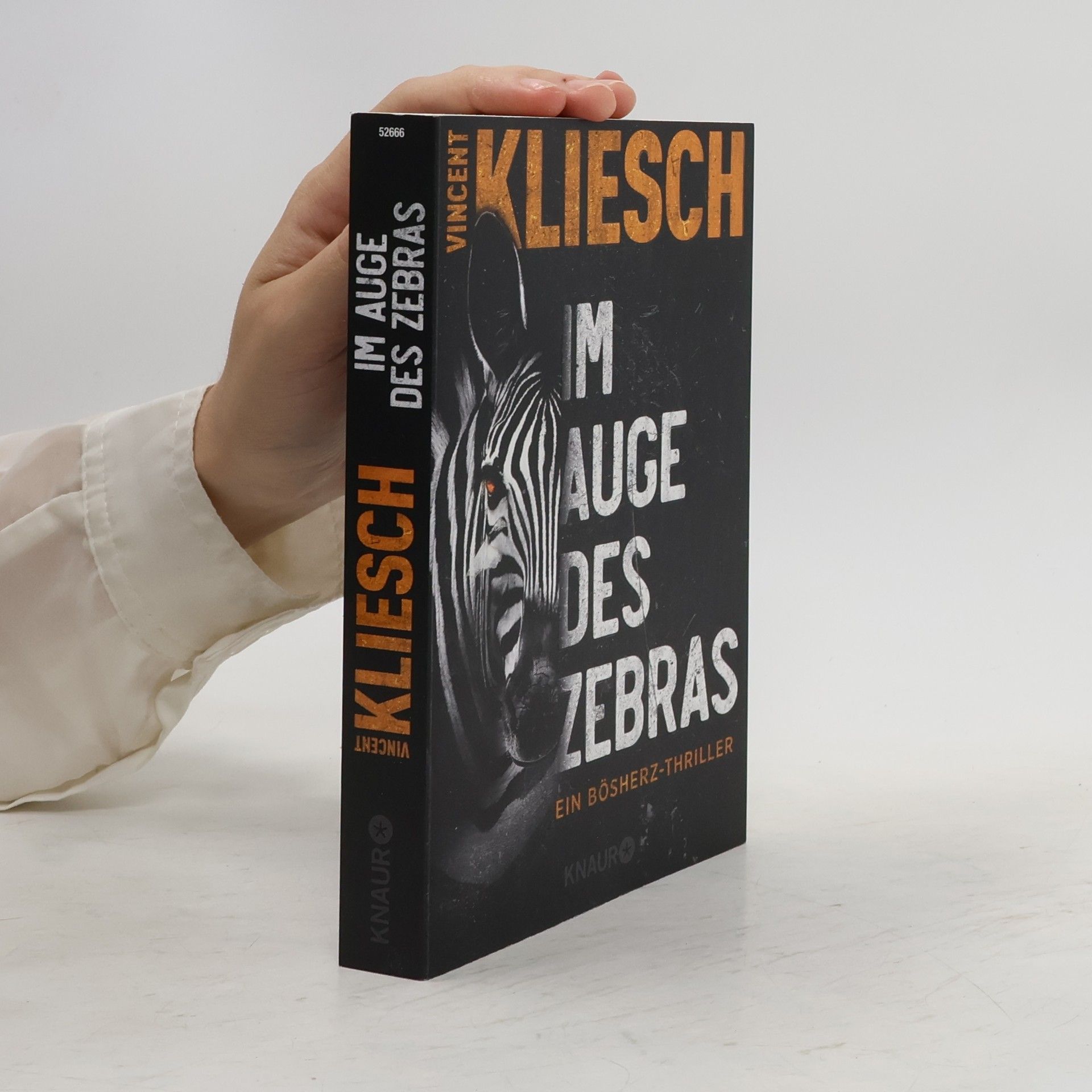 Vincent Kliesch Im Auge des Zebras