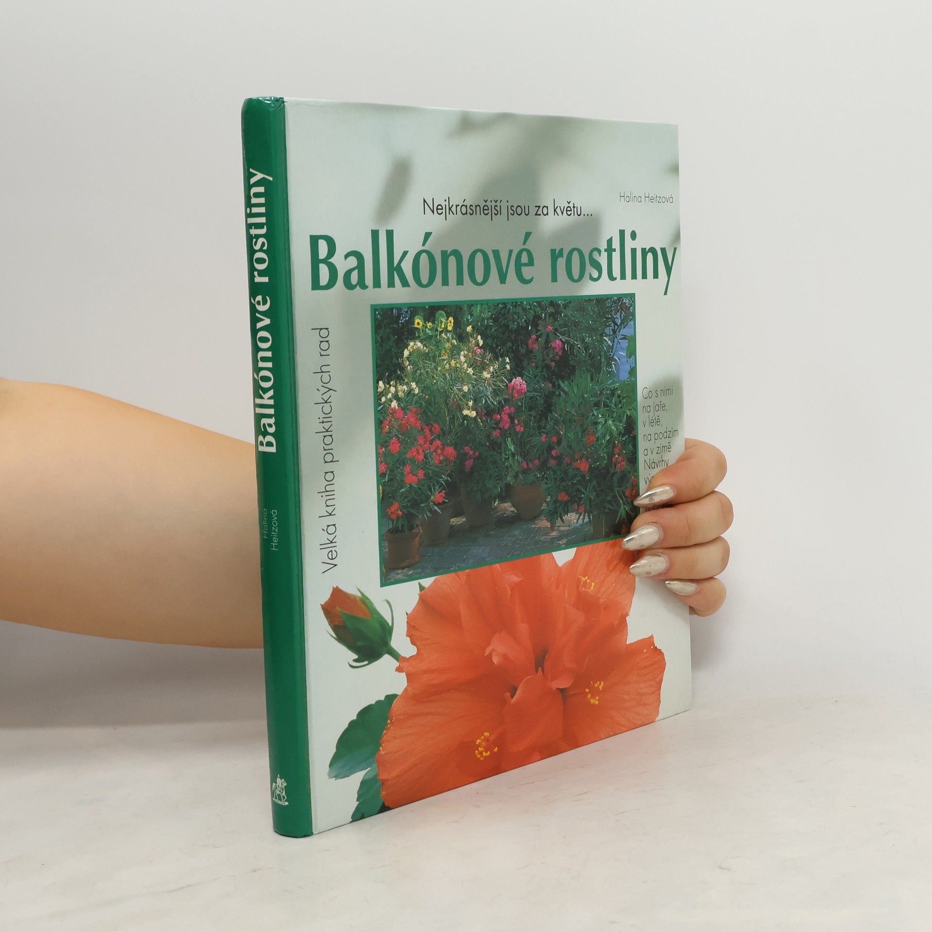 Balkónové rostliny: Nejkrásnější jsou za květu