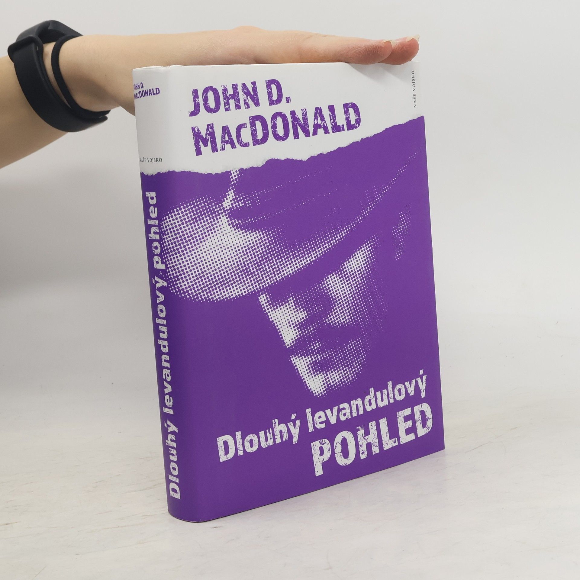 Pavel Medek Dlouhý levandulový pohled