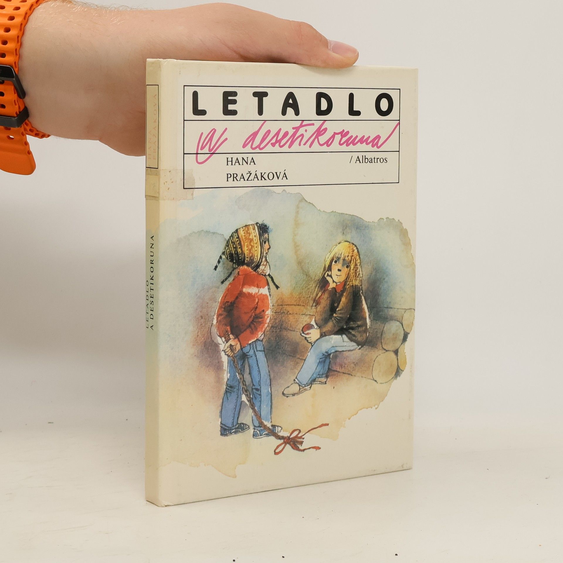 Zdeňka Krejčová Letadlo a desetikoruna