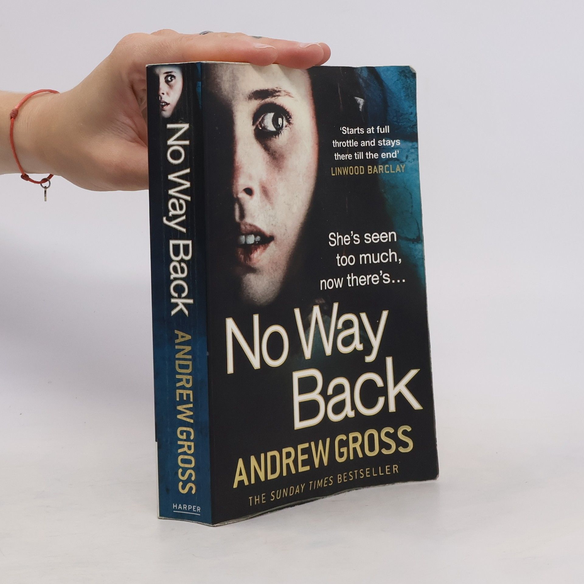 Andrew Gross No Way Back