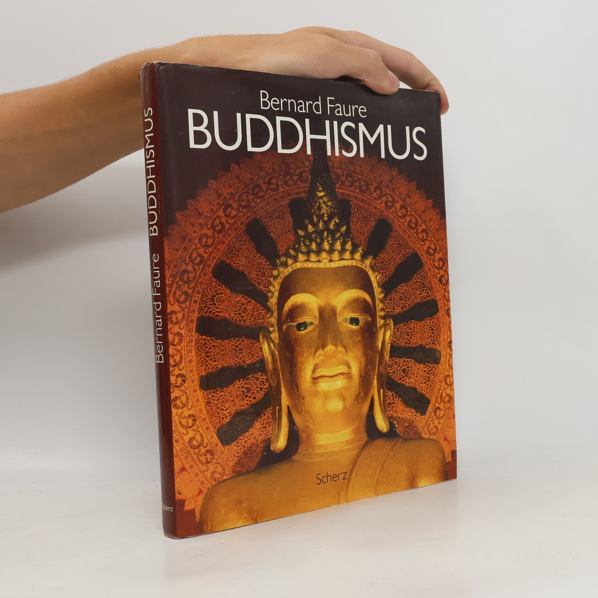 Bernard Faure Der Buddhismus