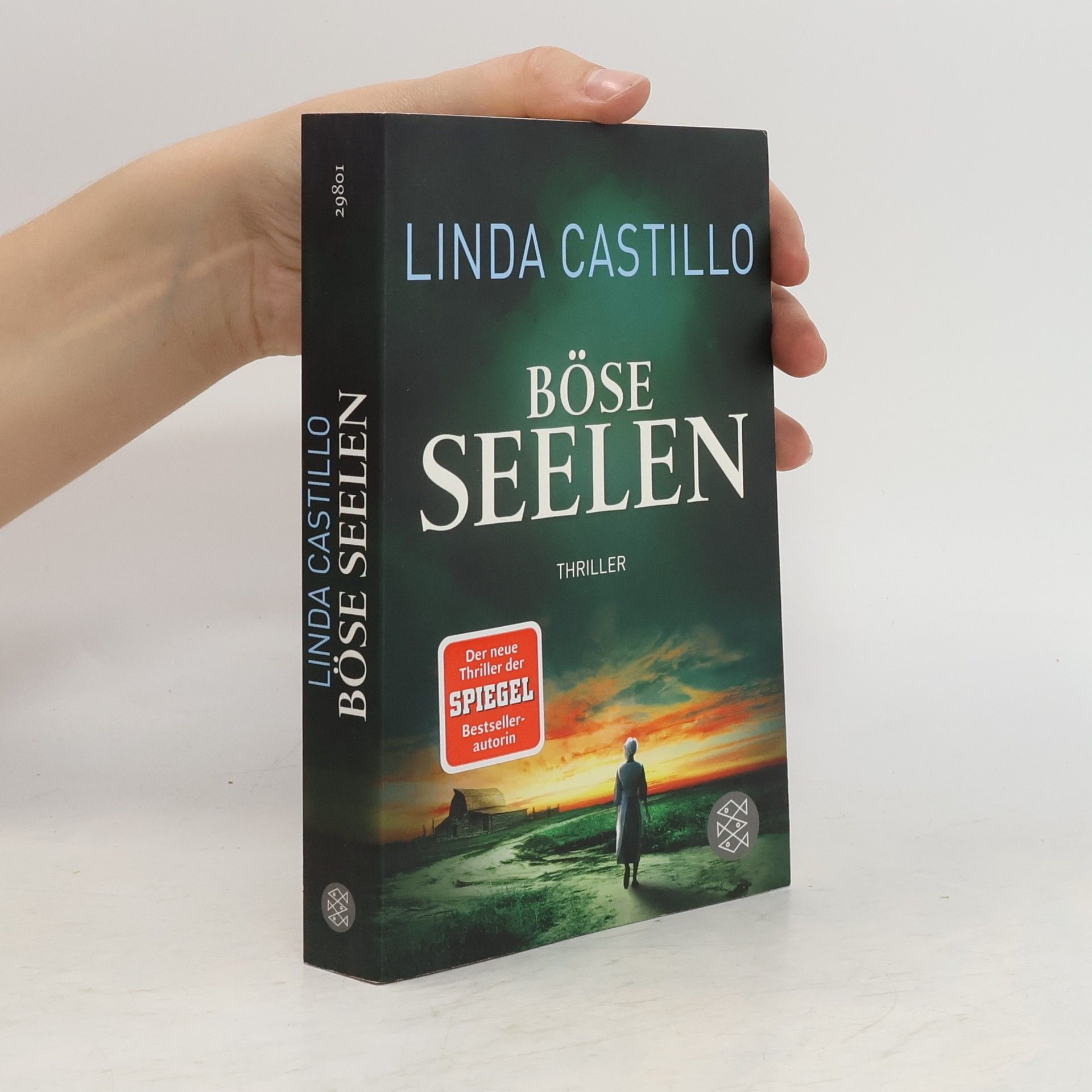 Linda Castillo Böse Seelen