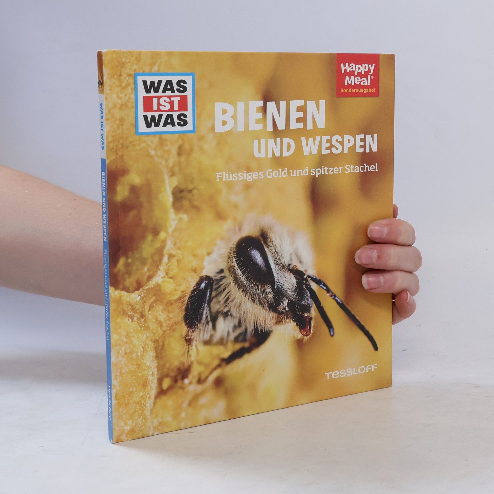 Autorenkollektiv Bienen und Wespen