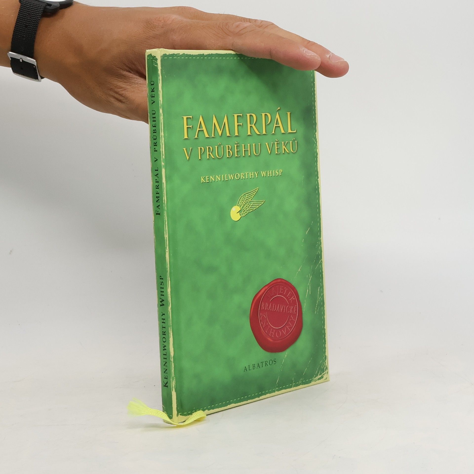 J. K. Rowling Famfrpál v průběhu věků