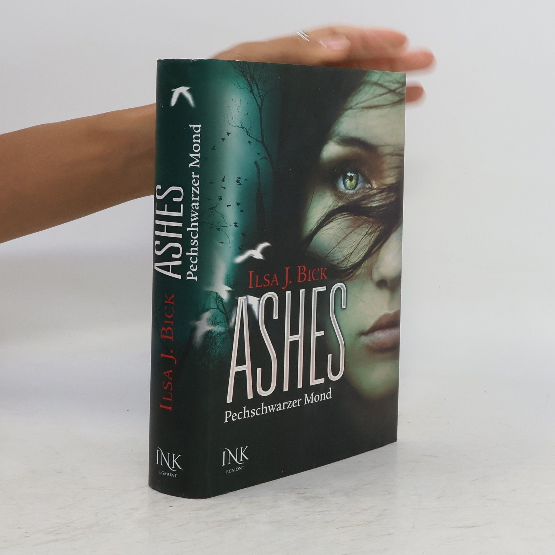 Ilsa J. Bick Ashes - Pechschwarzer Mond