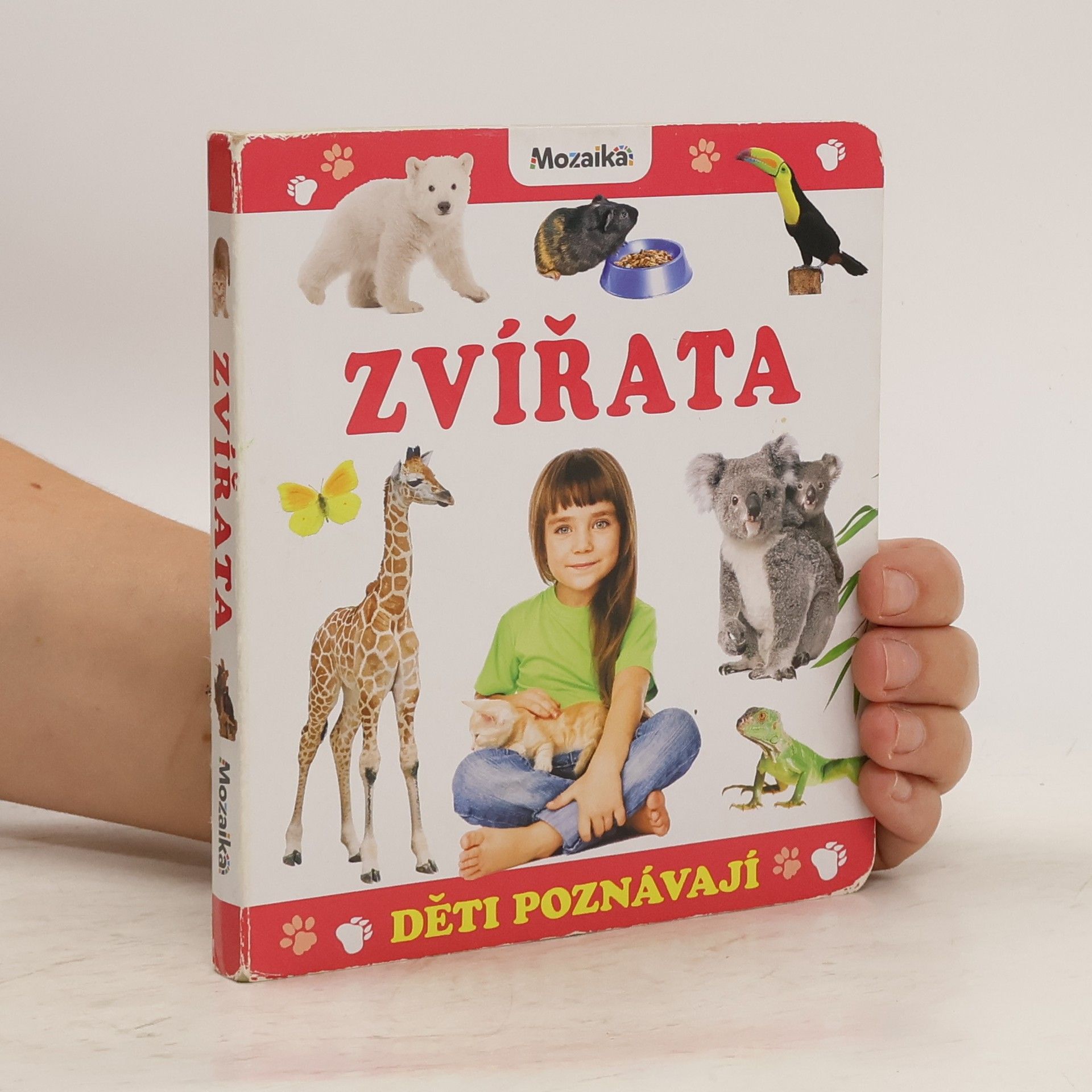 Autorenkollektiv Děti poznávají zvířata