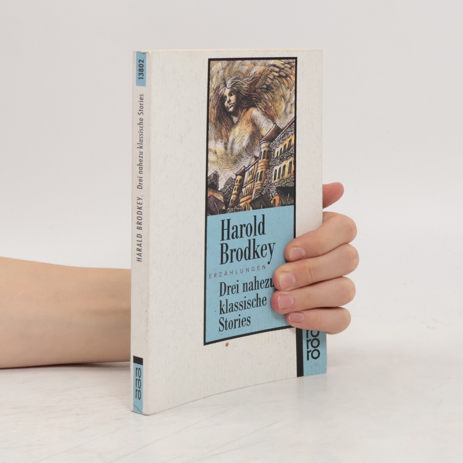 Harold Brodkey Drei nahezu klassische Stories