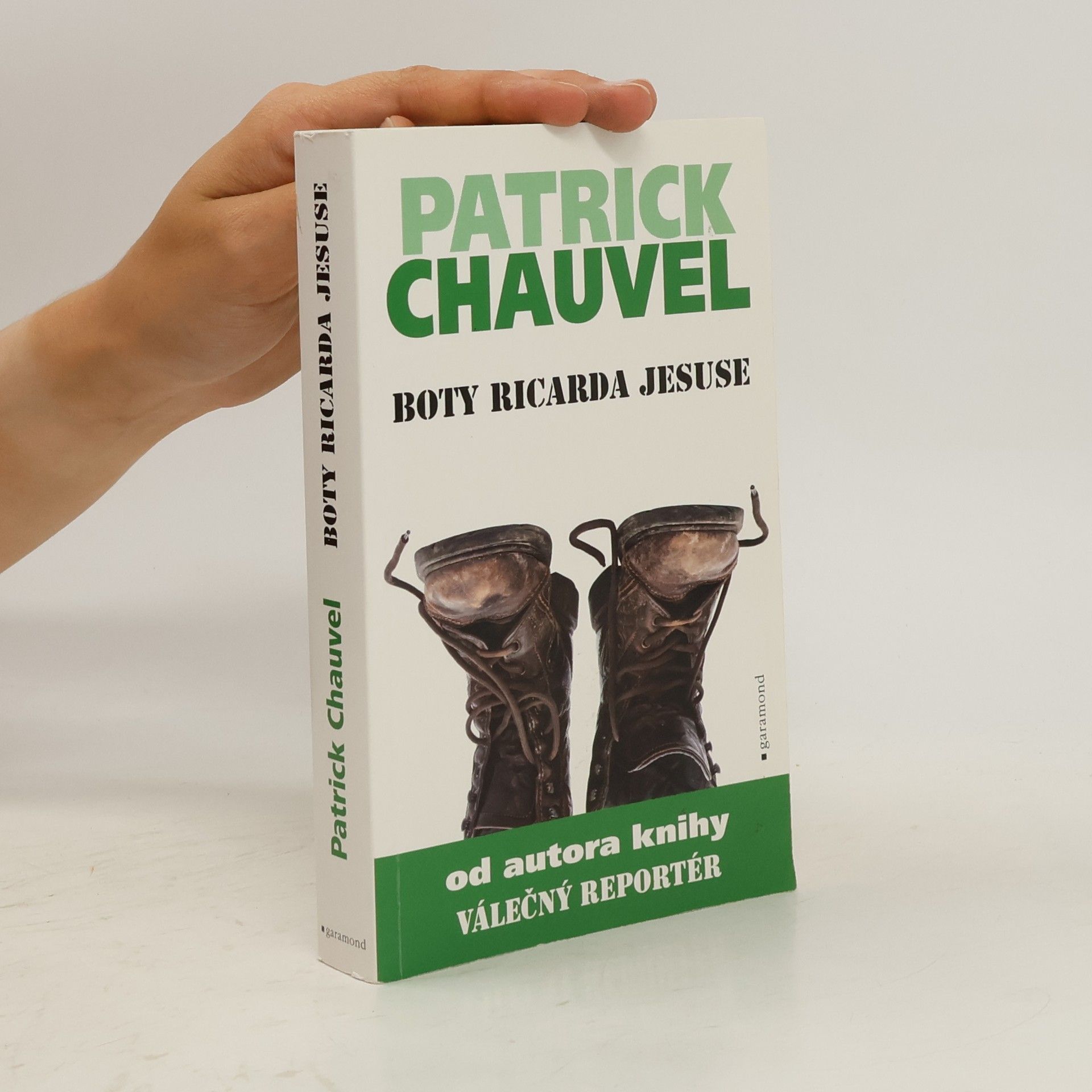 Patrick Chauvel Boty Ricarda Jesuse