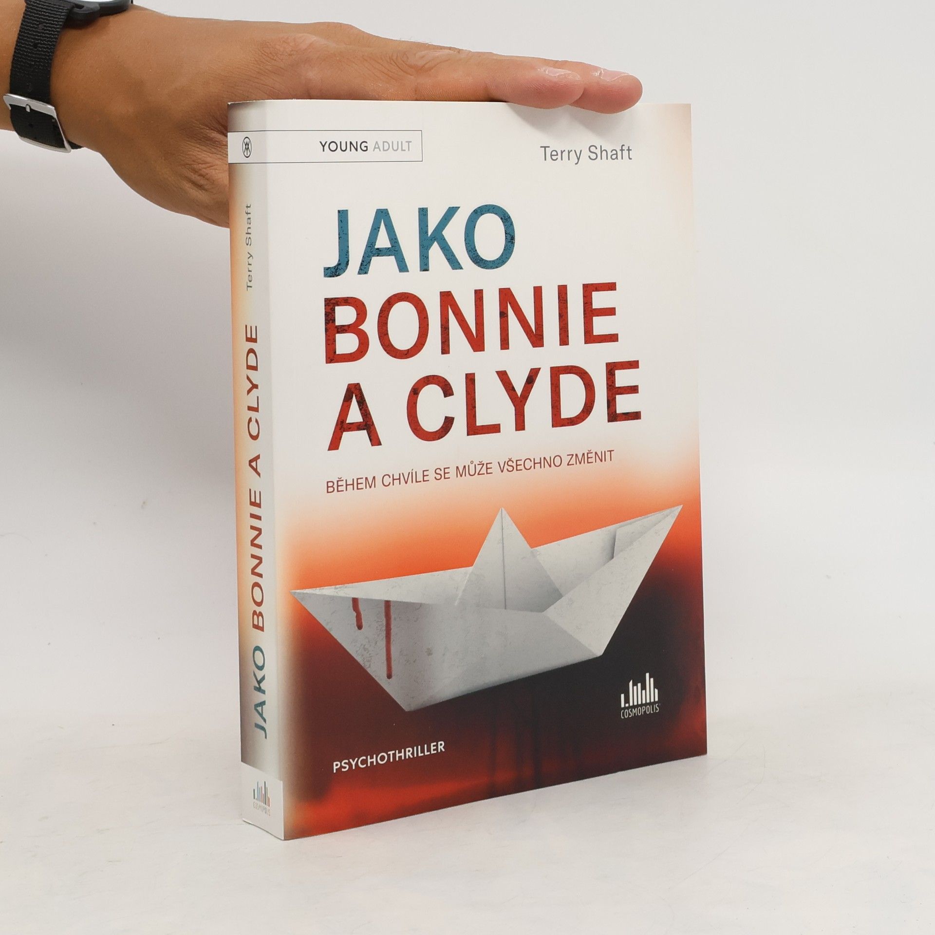 Terry Shaft Jako Bonnie a Clyde : během chvíle se může všechno změnit