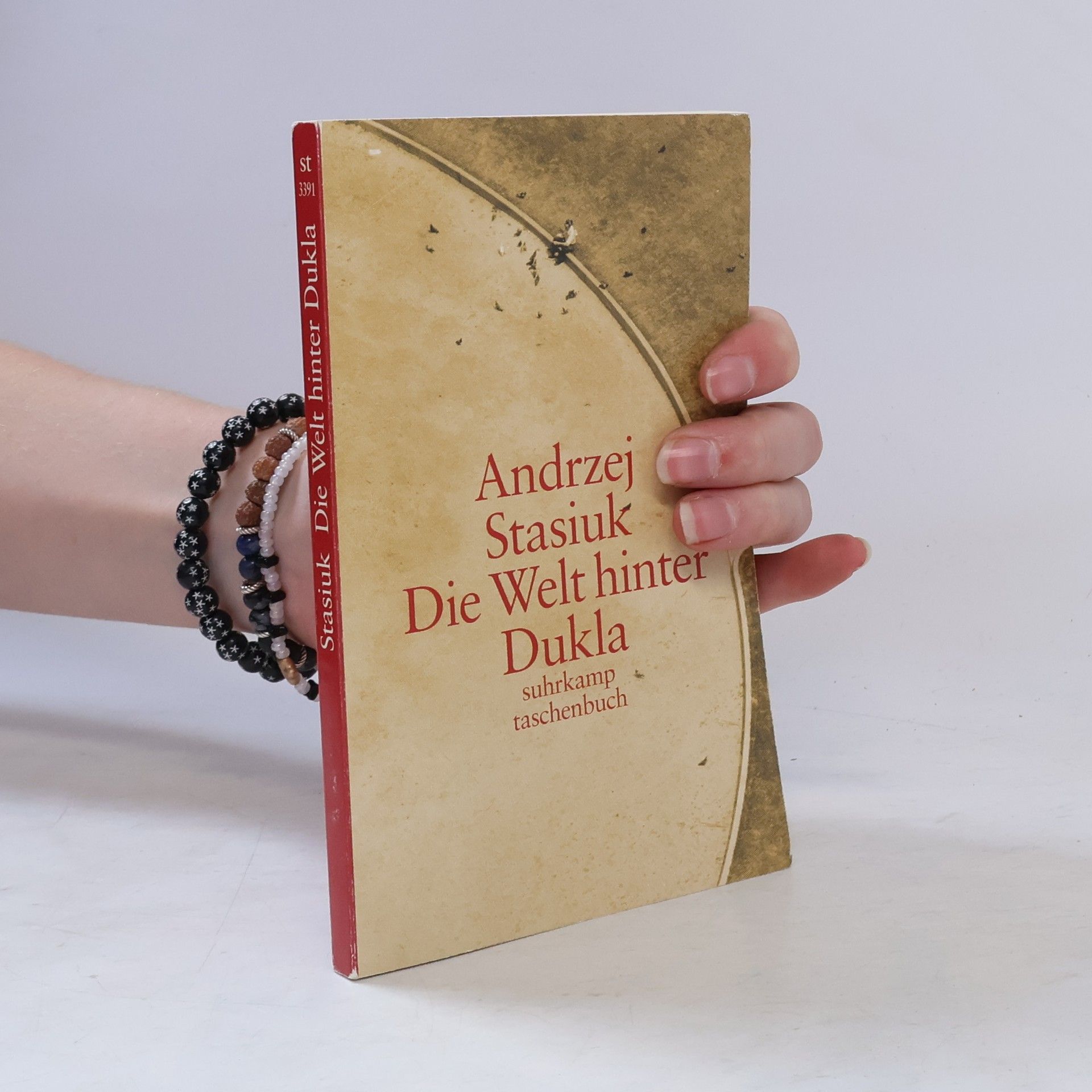 Andrzej Stasiuk Die Welt hinter Dukla