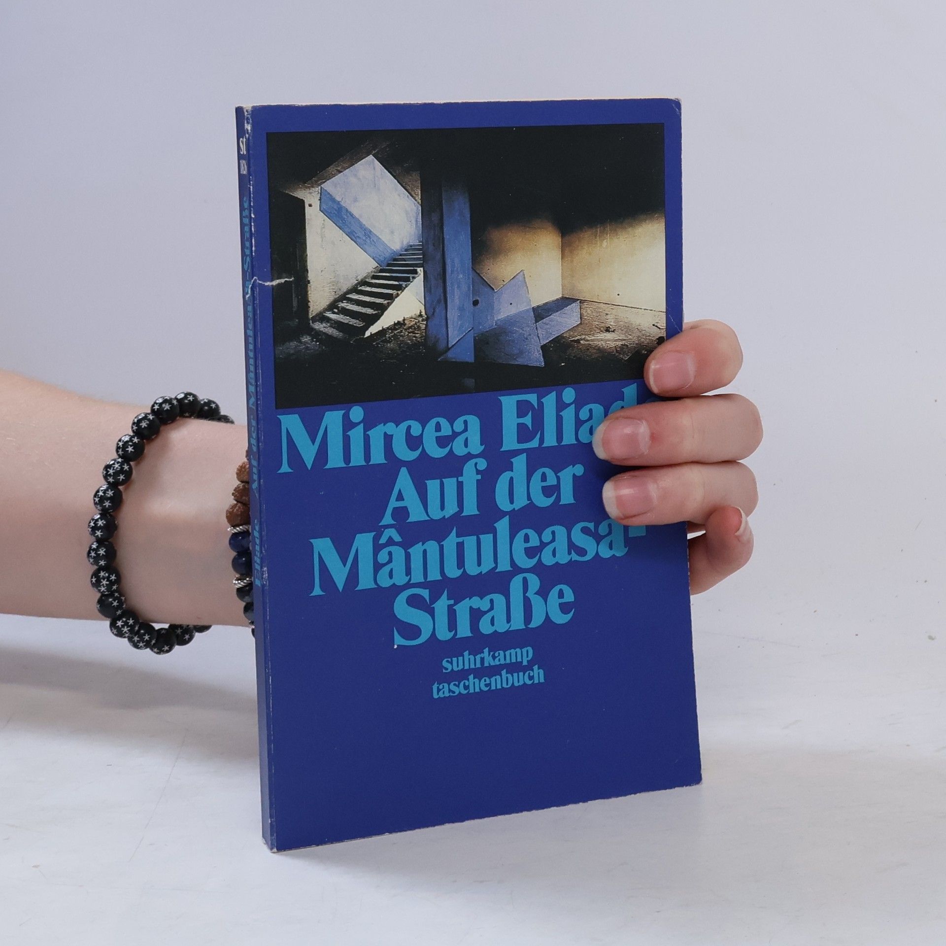 Mircea Eliade Auf der Mântuleasa-Strasse