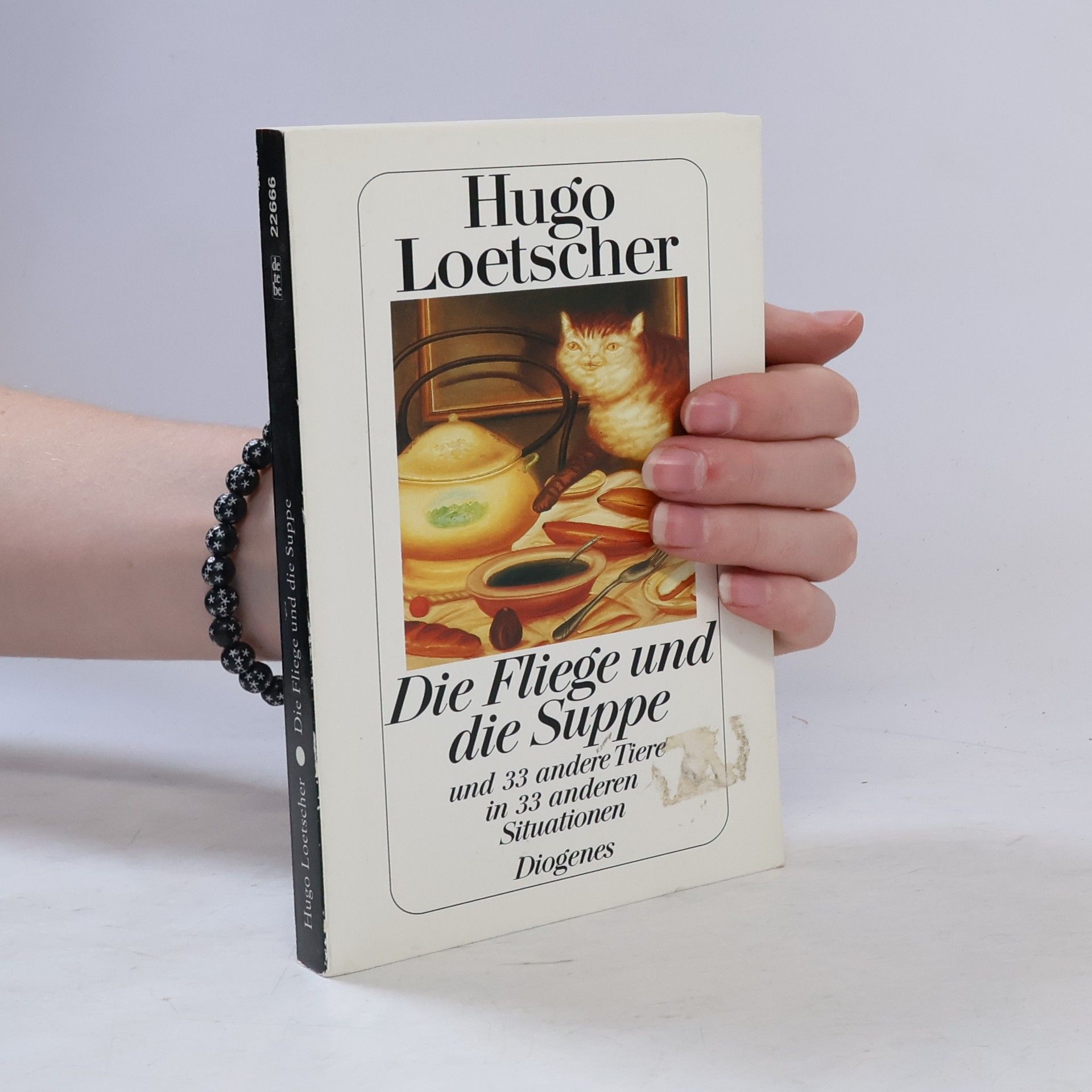 Hugo Loetscher Die Fliege und die Suppe und 33 andere Tiere in 33 anderen Situationen