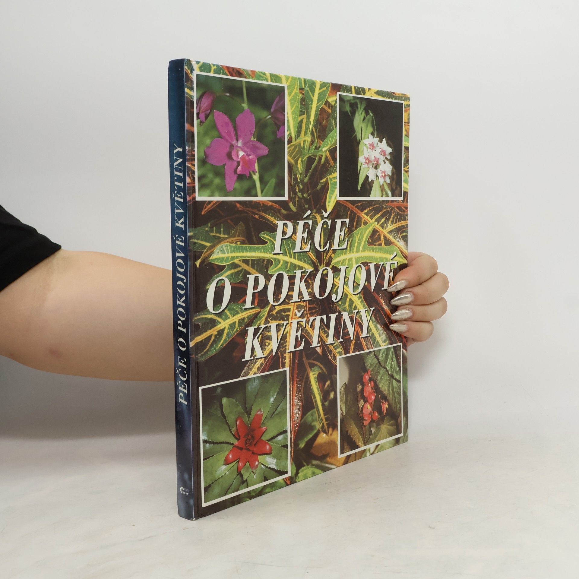 Péče o pokojové květiny