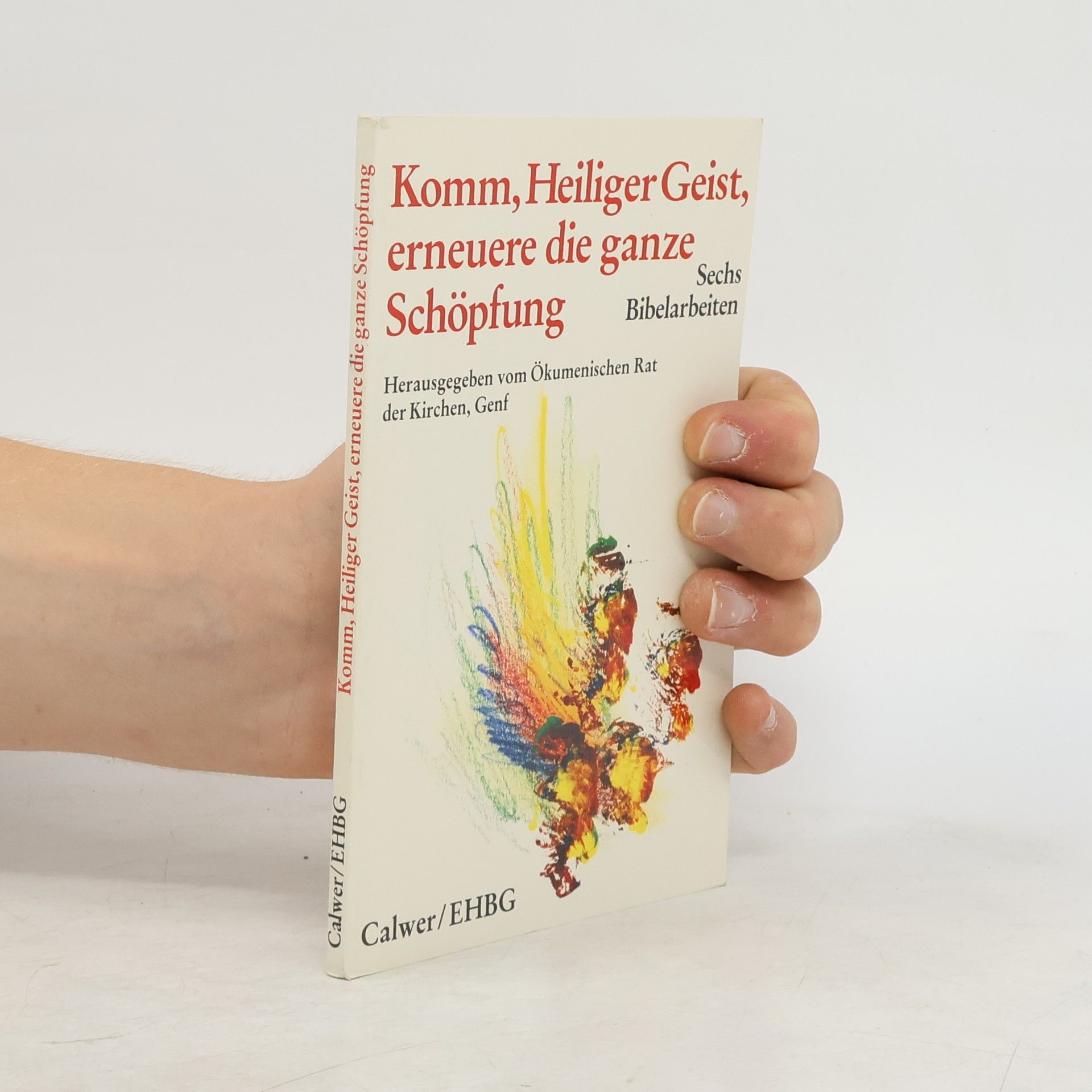 AA.VV. Komm, Heiliger Geist, erneuere die ganze Schöpfung