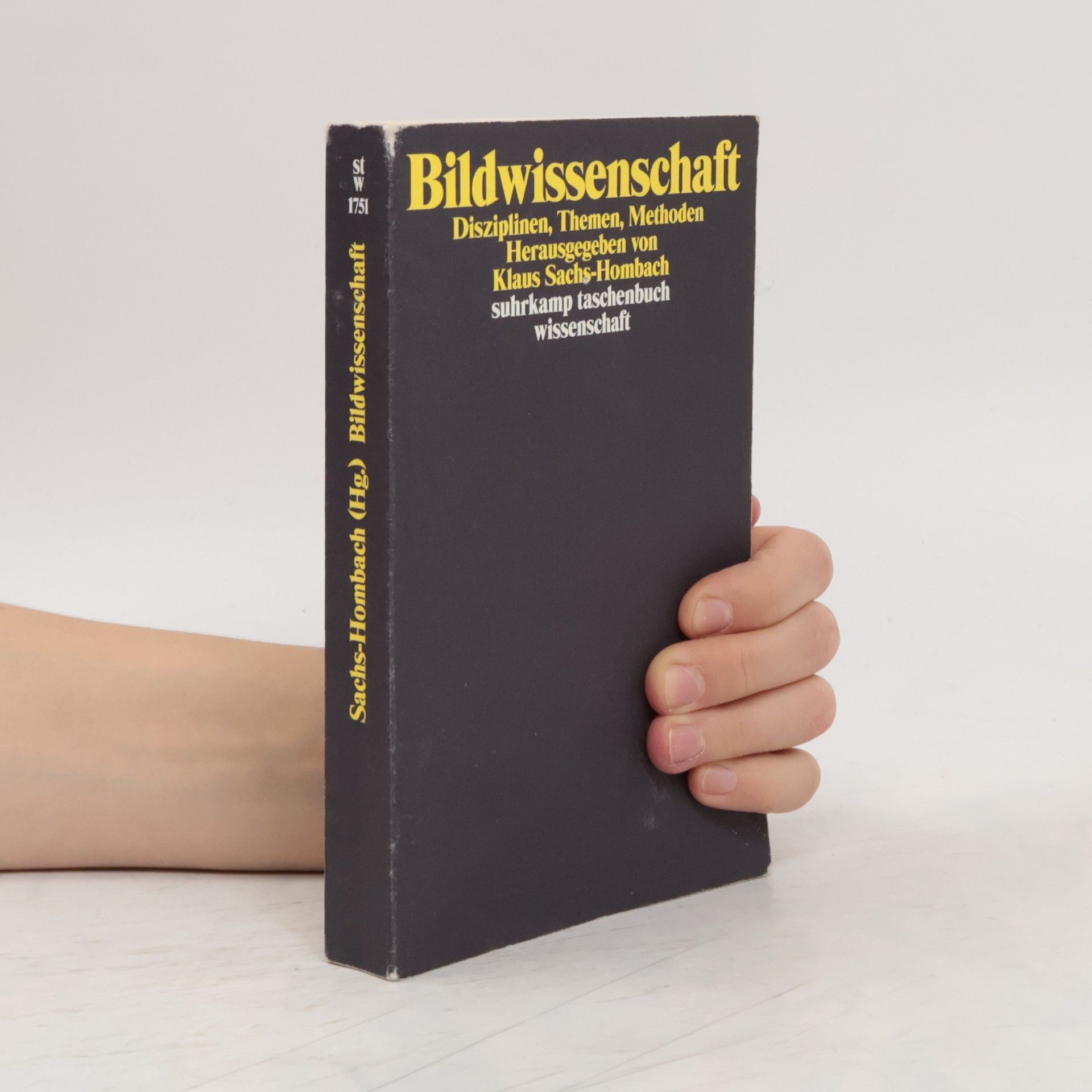 Klaus Sachs Hombach Bildwissenschaft