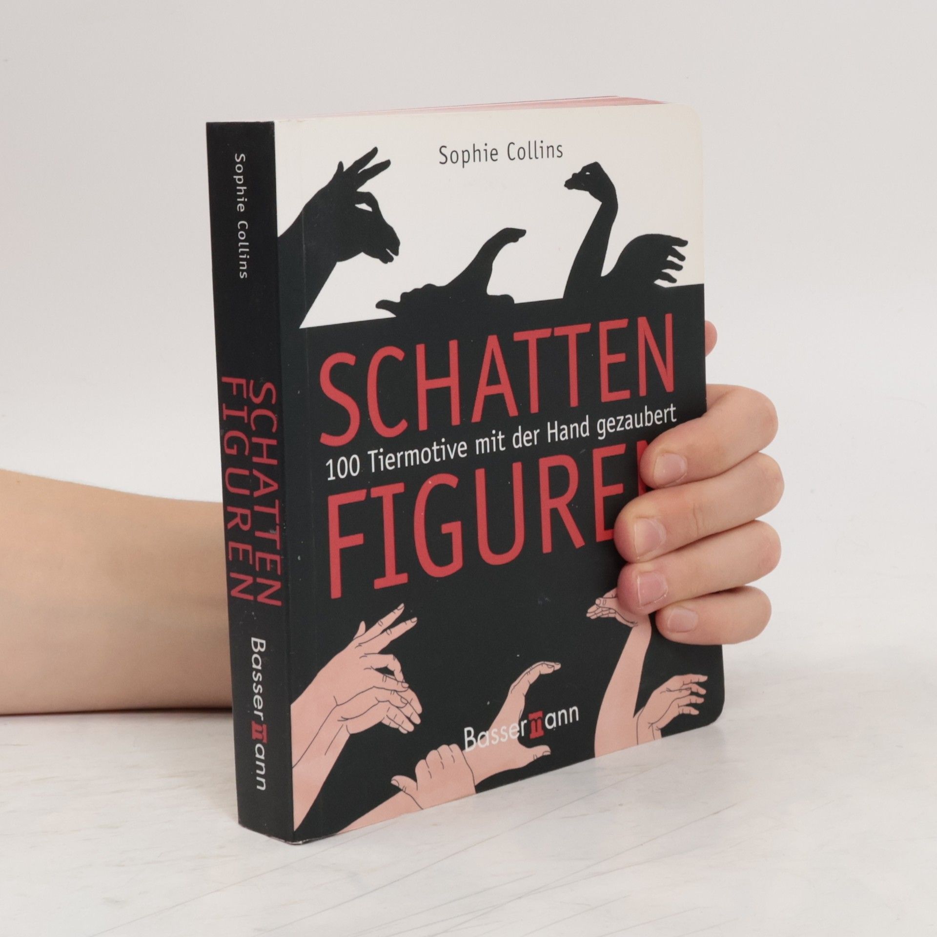 Sophie Collins Schattenfiguren