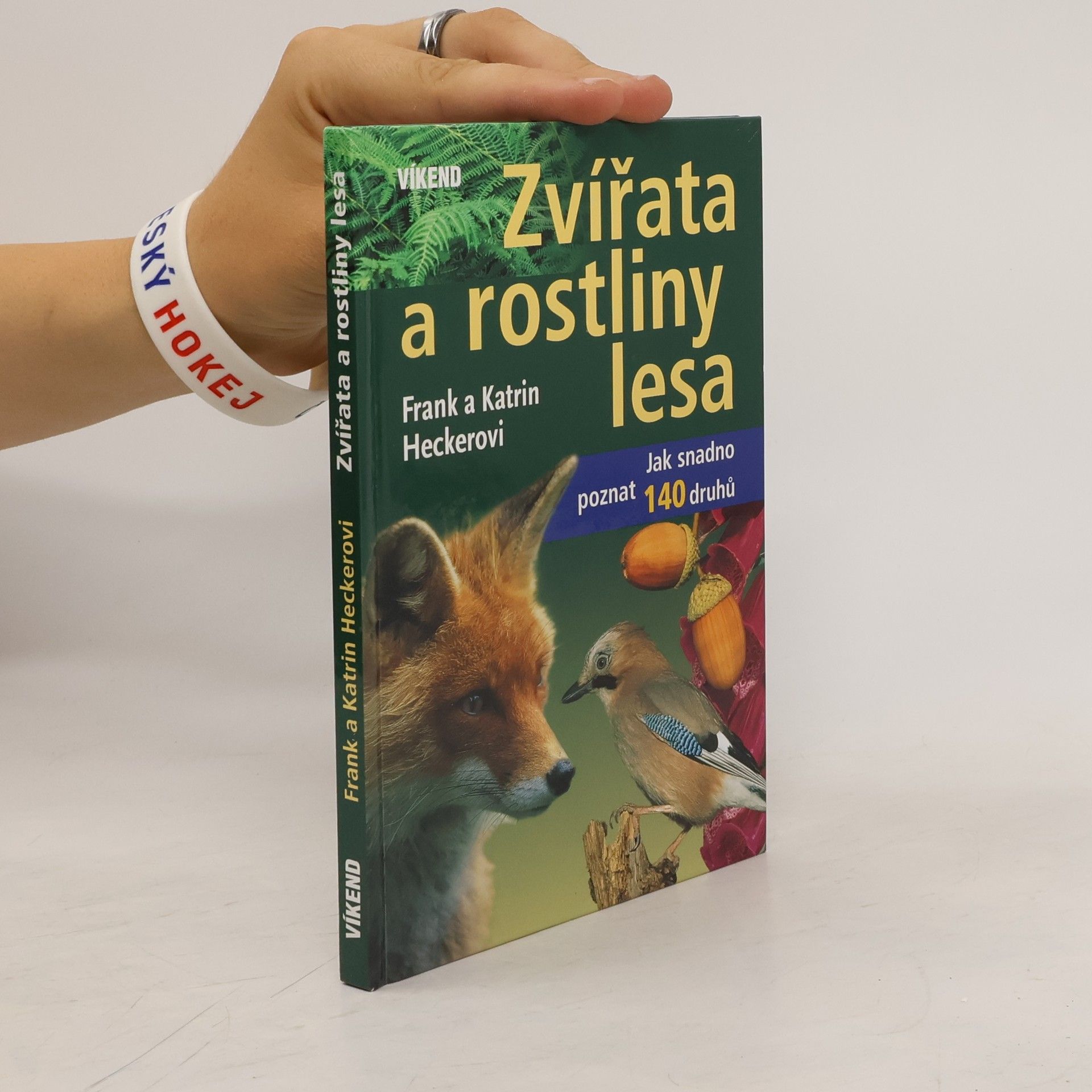 Katrin Hecker Zvířata a rostliny lesa