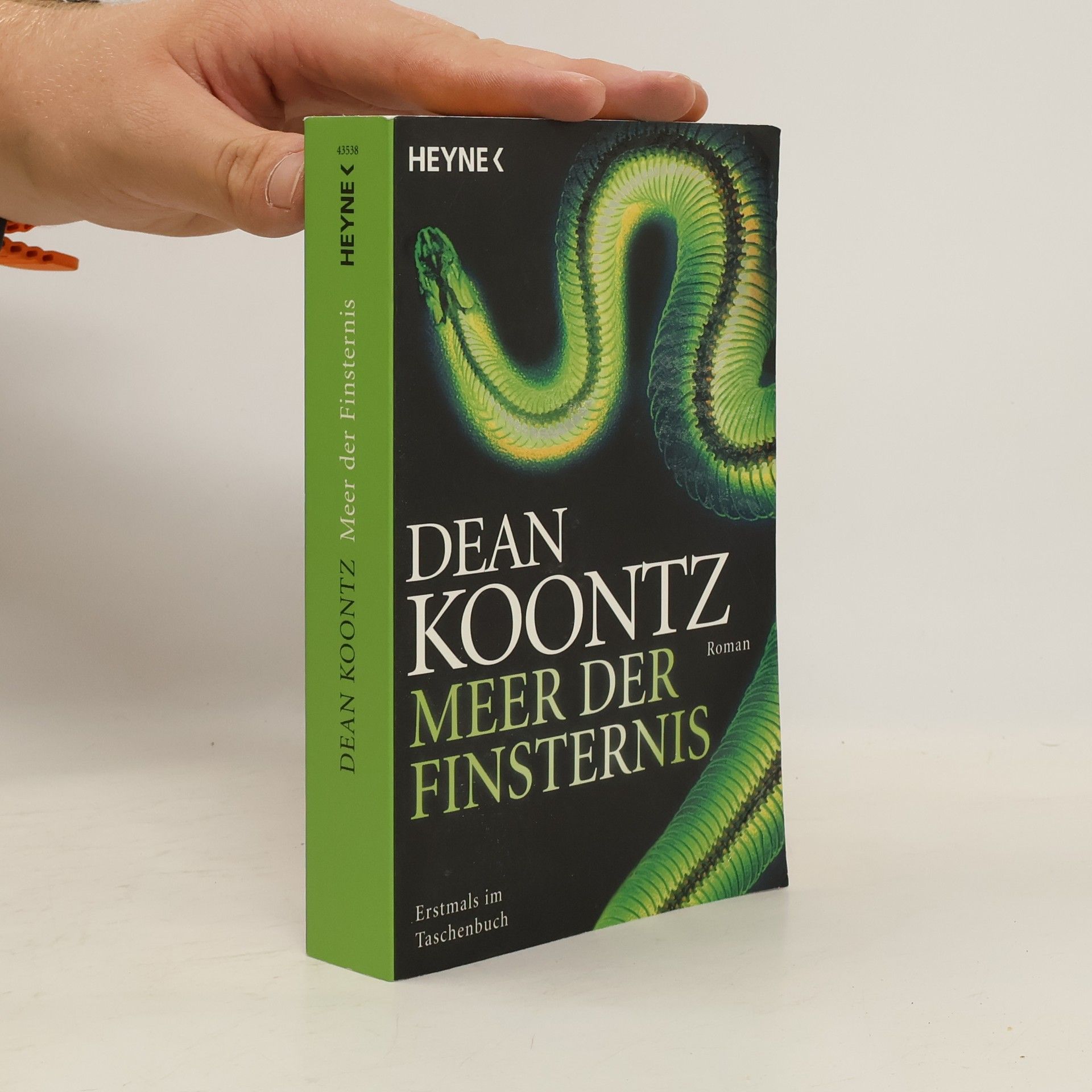 Dean R. Koontz Meer der Finsternis
