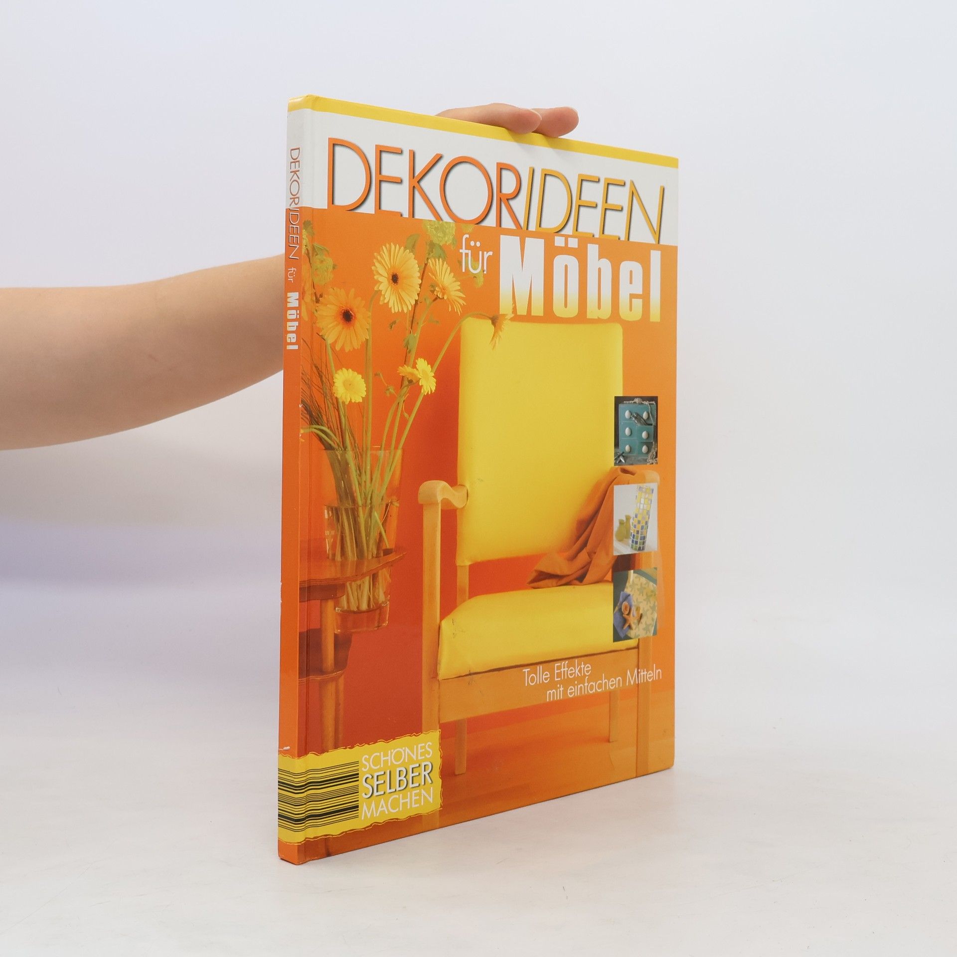 Collectif d'auteurs Dekorideen für Möbel