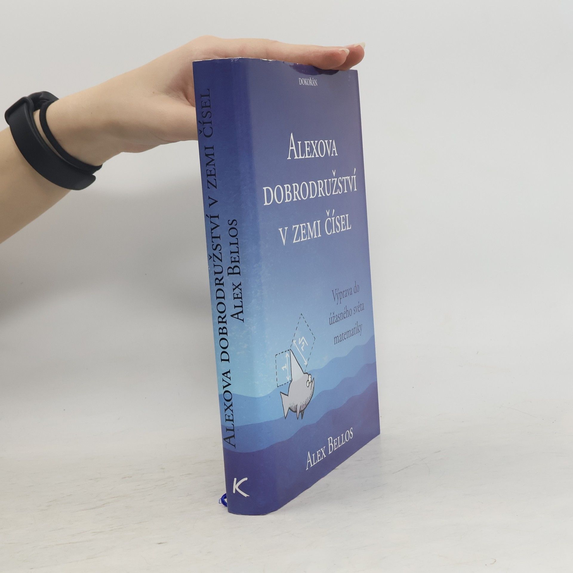 Alexova dobrodružství v zemi čísel