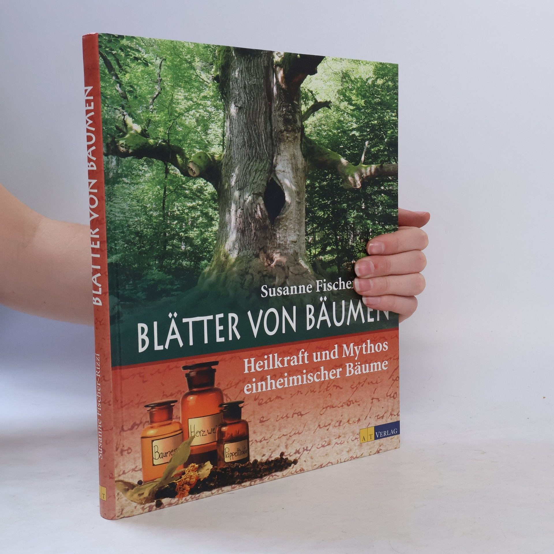 Susanne Fischer-Rizzi Blätter von Bäumen