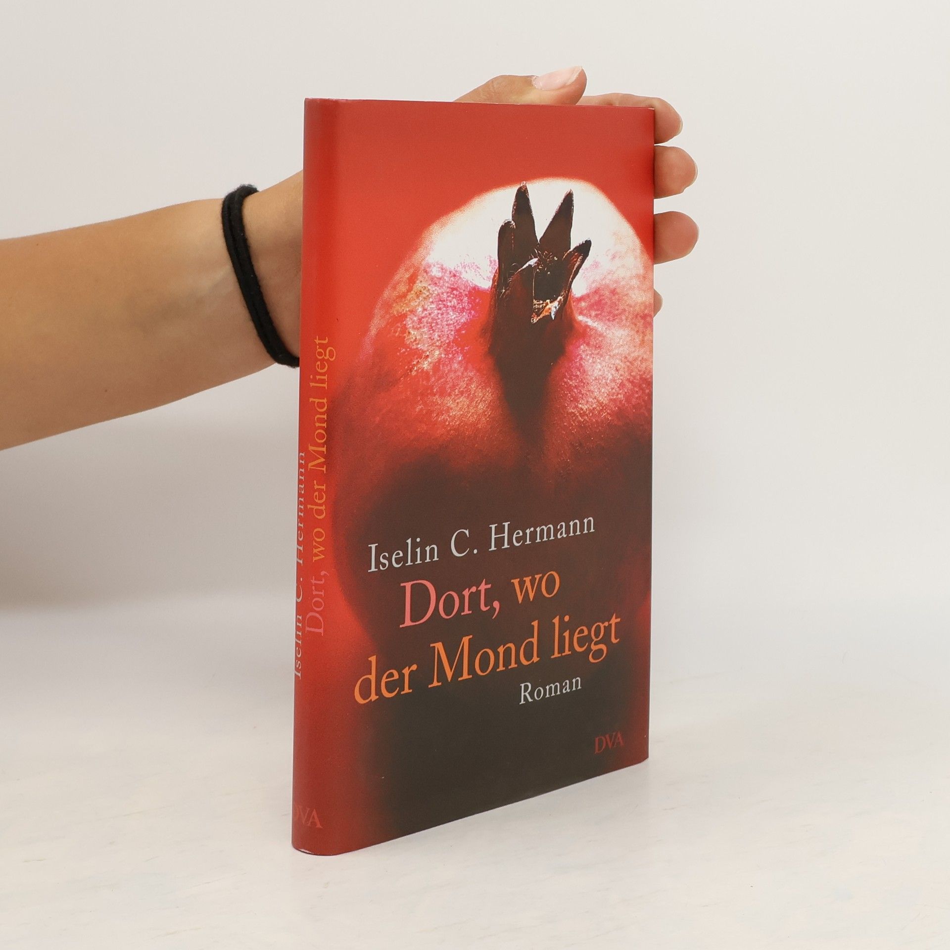 Iselin C. Hermann Dort, wo der Mond liegt
