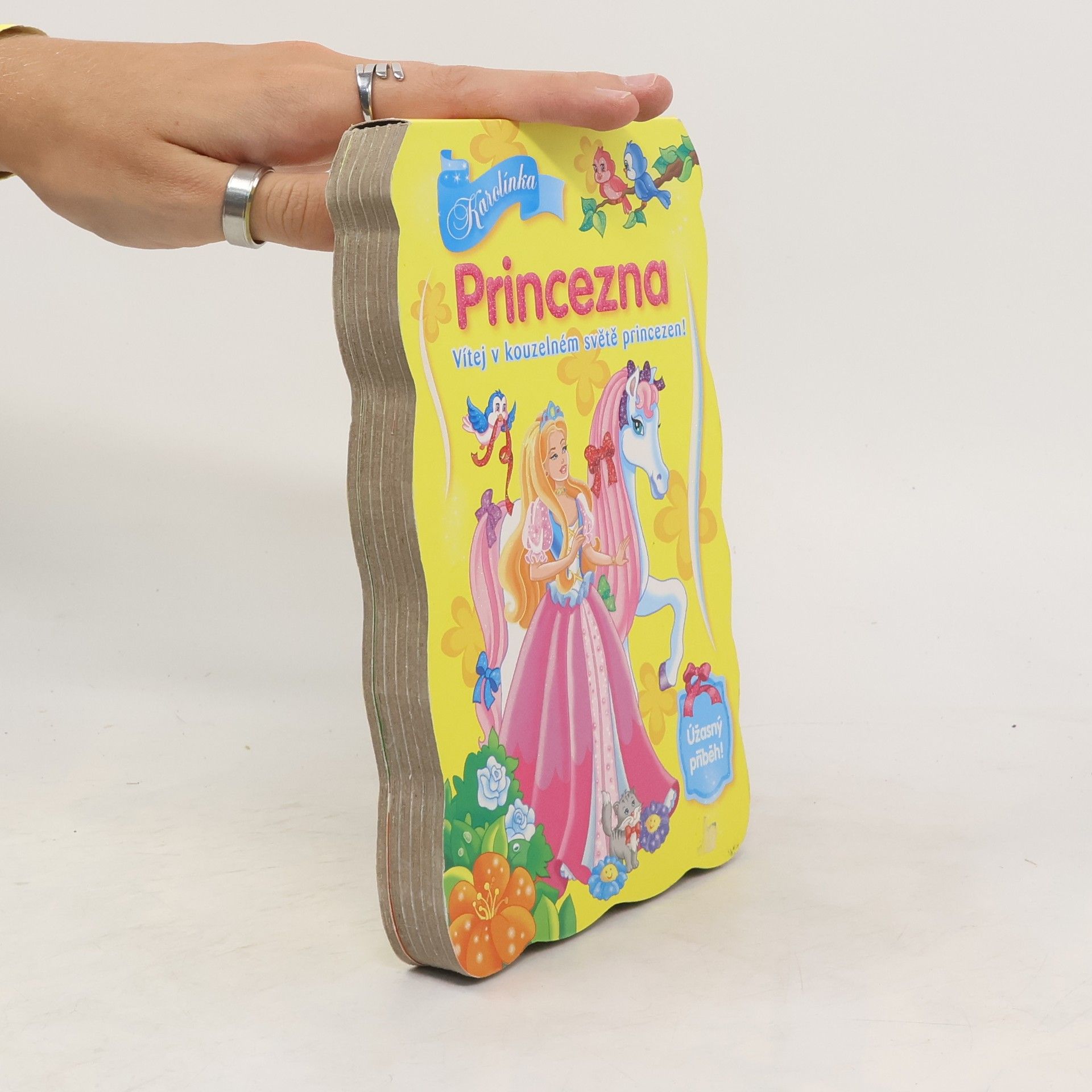Autores varios Princezna: Vítej v kouzelném světě princezen!