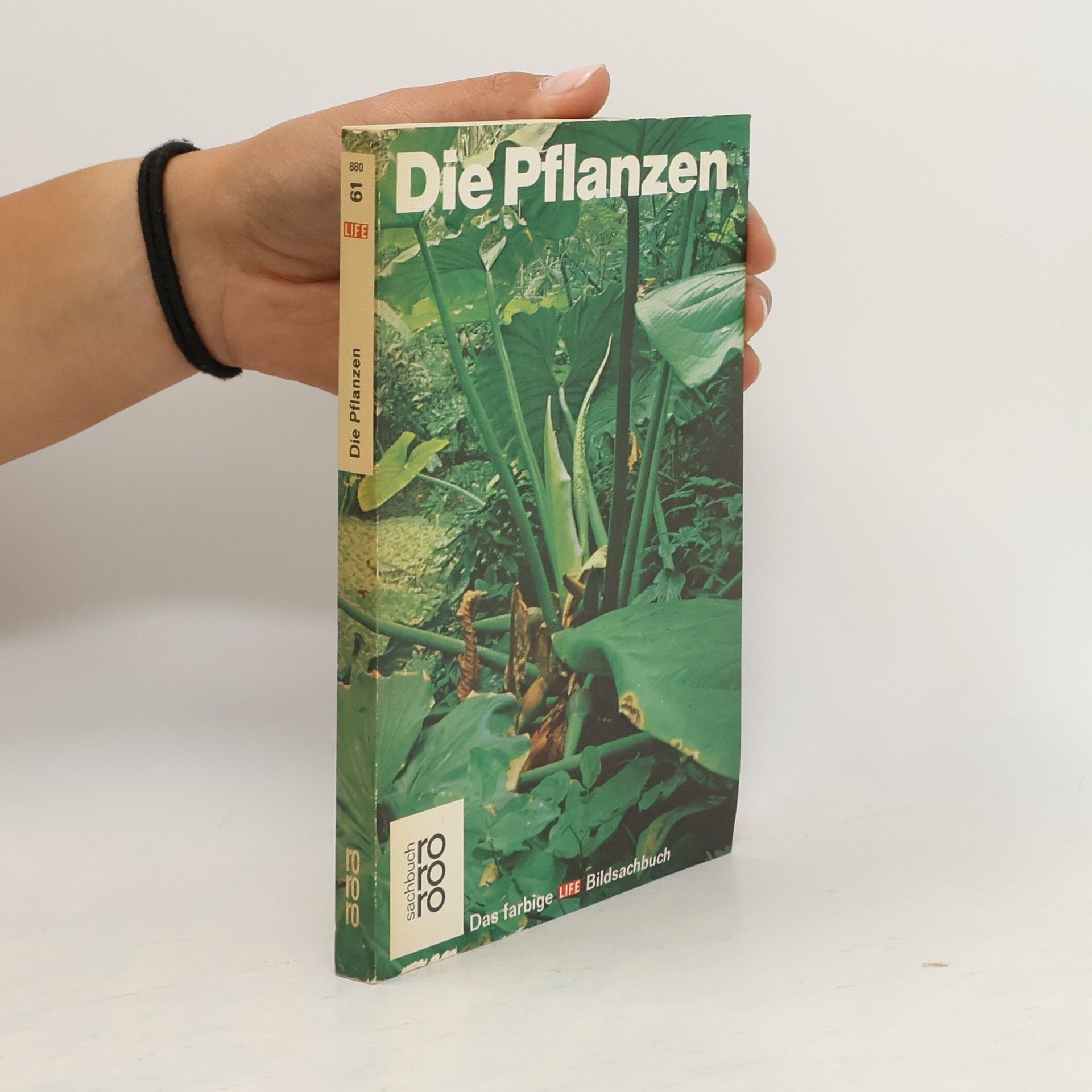 Frits Warmolt Went Die Pflanzen