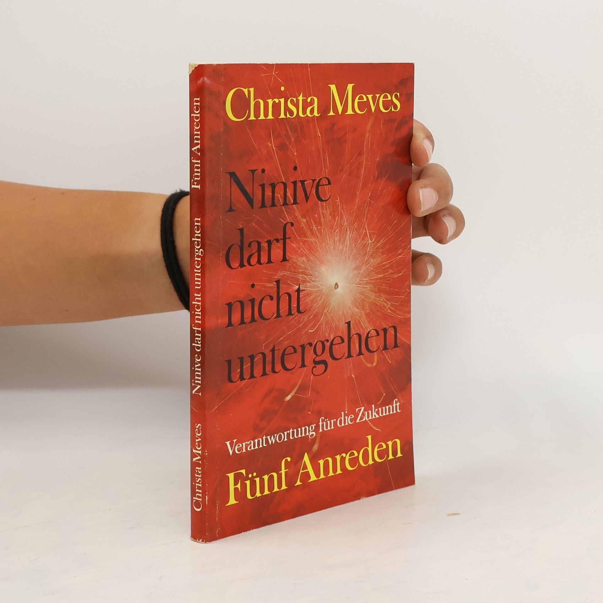 Christa Meves Ninive darf nicht untergehen
