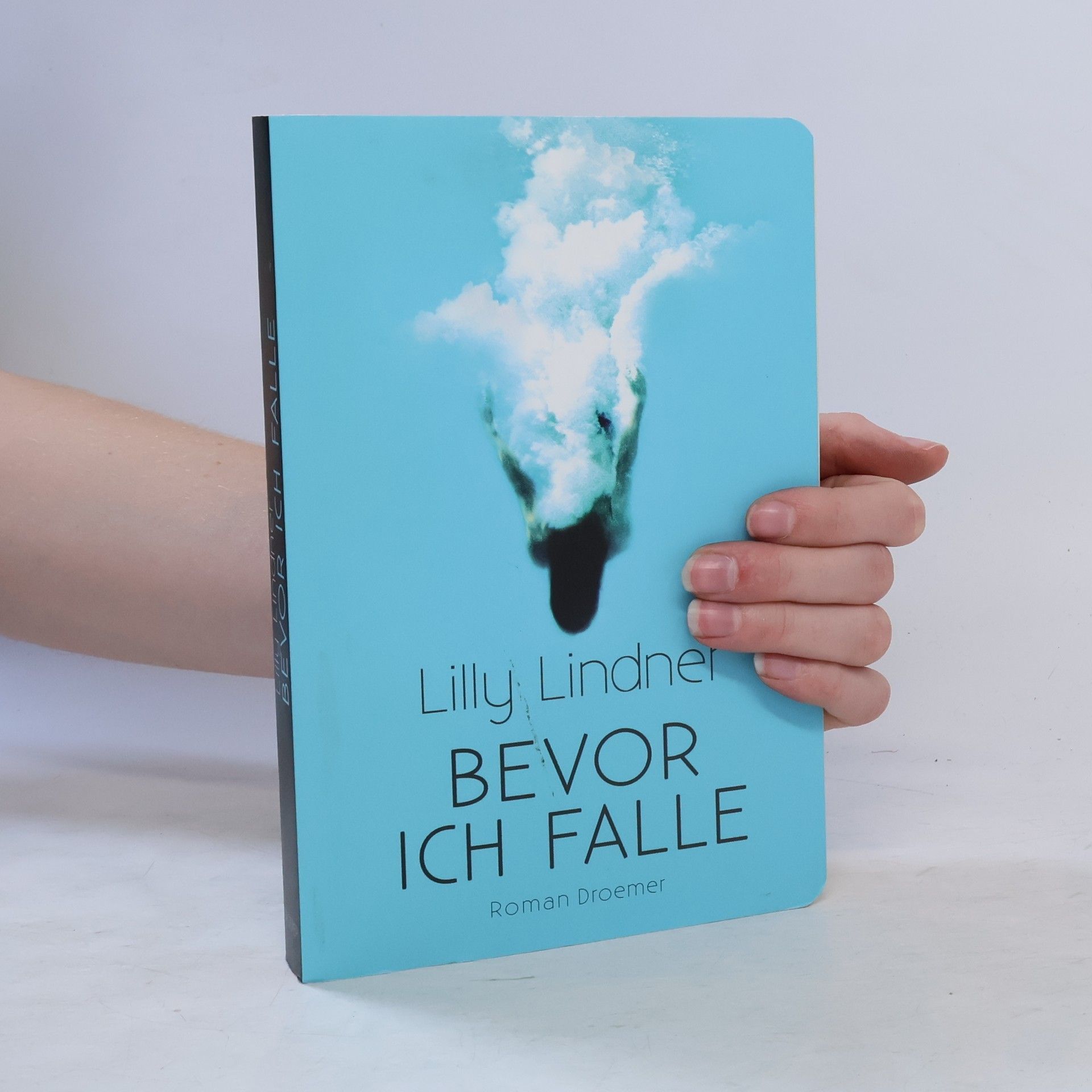 Lilly Lindner Bevor ich falle