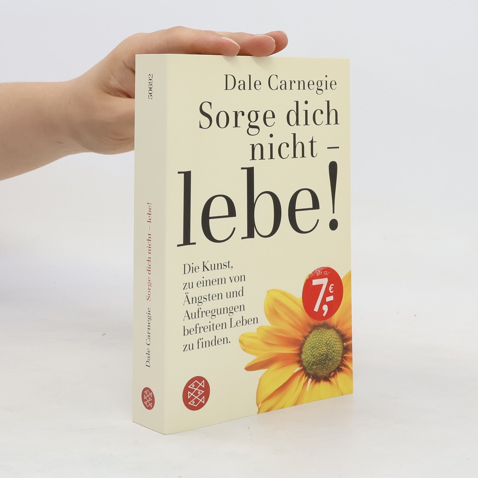 Dale Carnegie Sorge dich nicht - lebe!