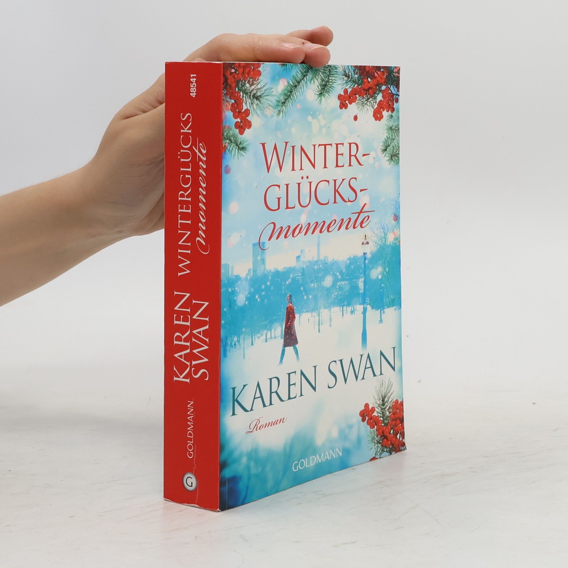 Karen Swan Winterglücksmomente