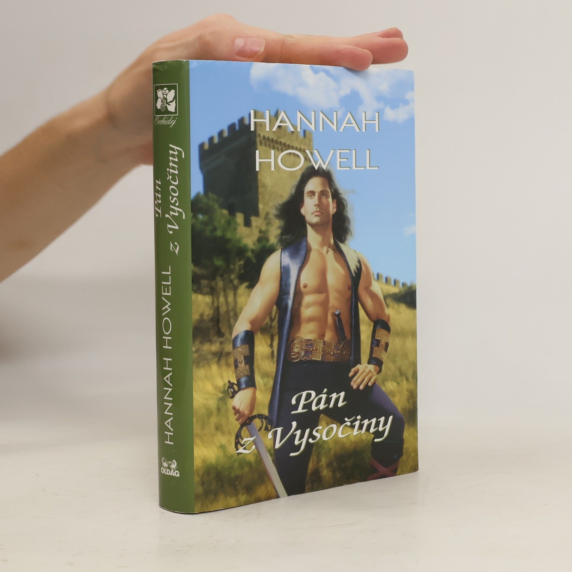 Hannah Howell Pán z Vysočiny