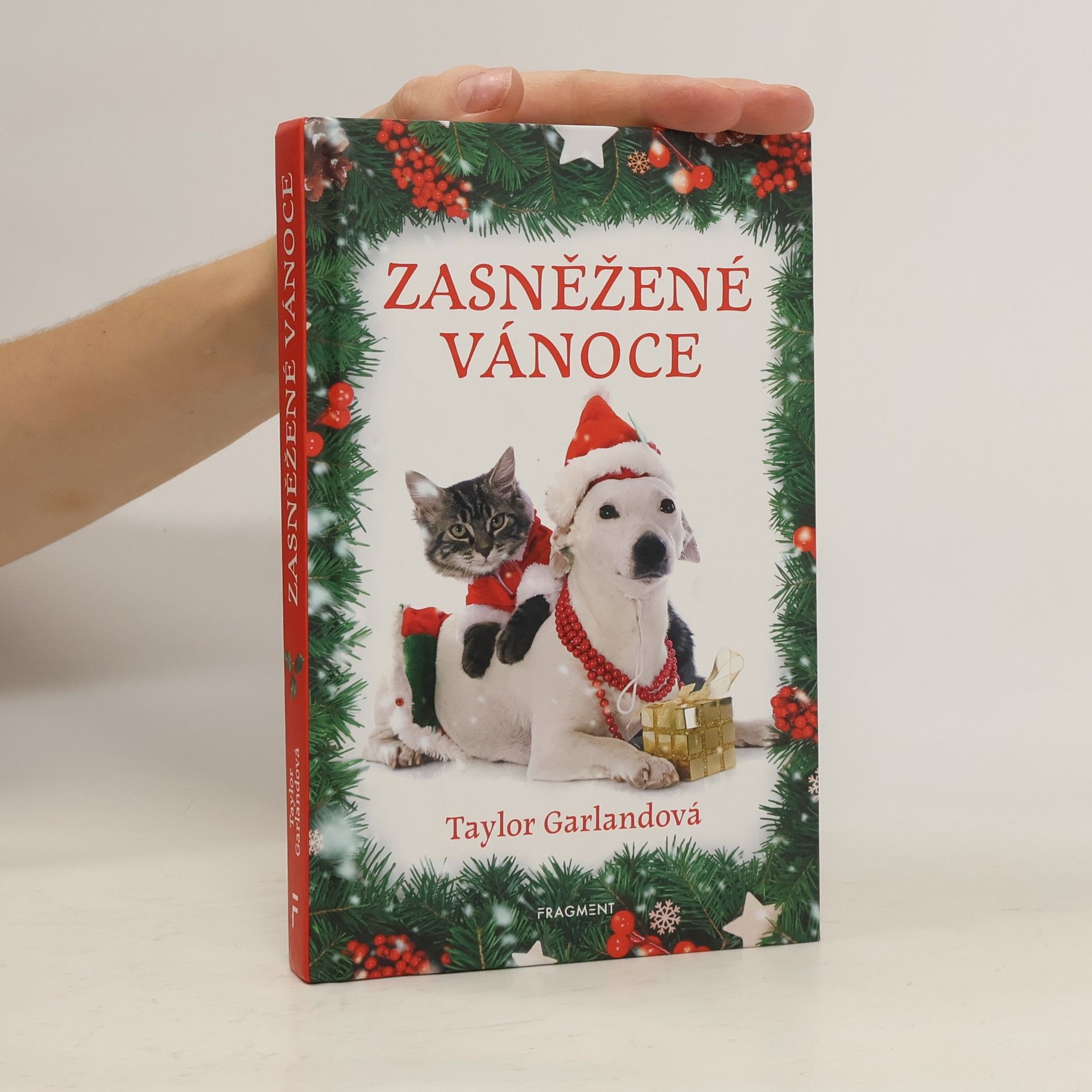 Taylor Garland Zasněžené Vánoce
