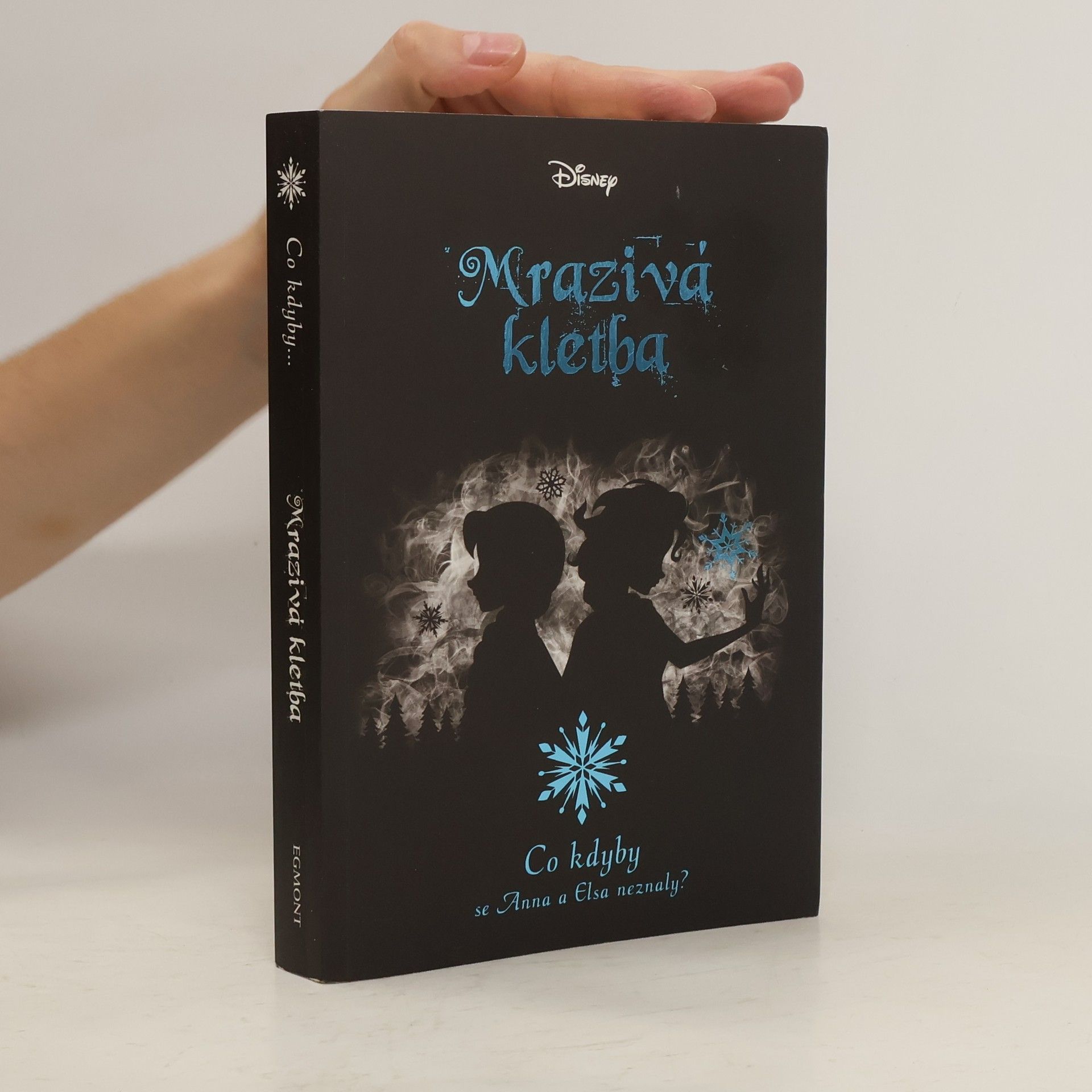Jen Calonita Mrazivá kletba