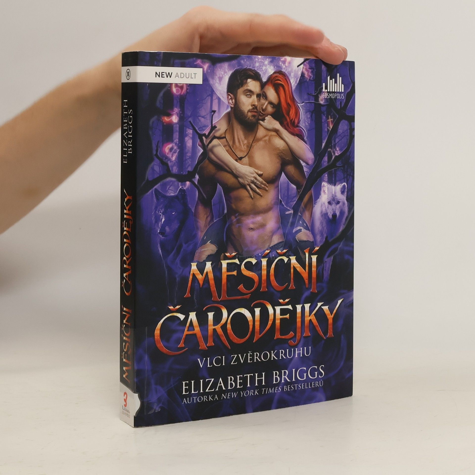 Elizabeth Briggs Měsíční čarodějky: Vlci zvěrokruhu