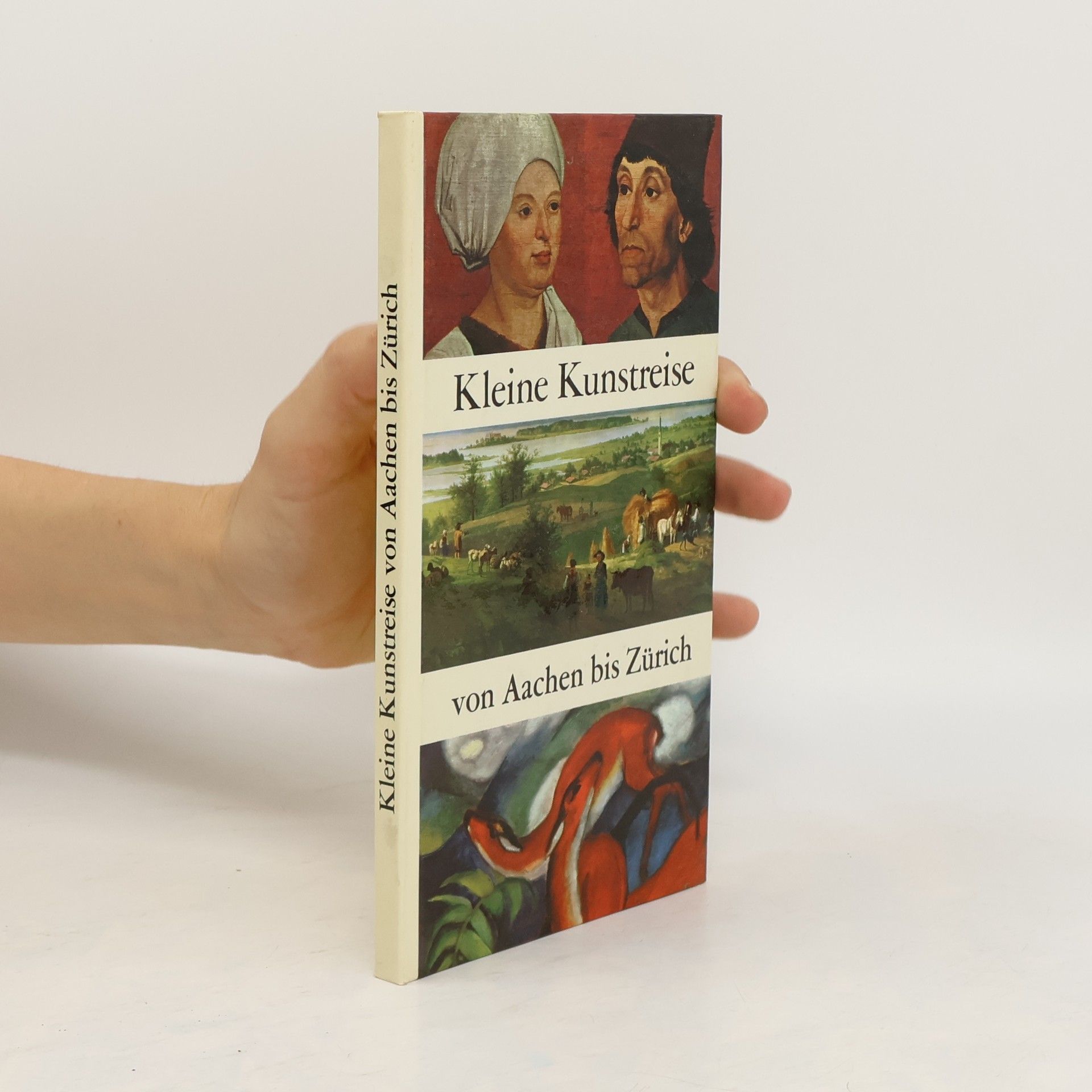 Autores varios Kleine Kunstreise von Aachen bis Zürich