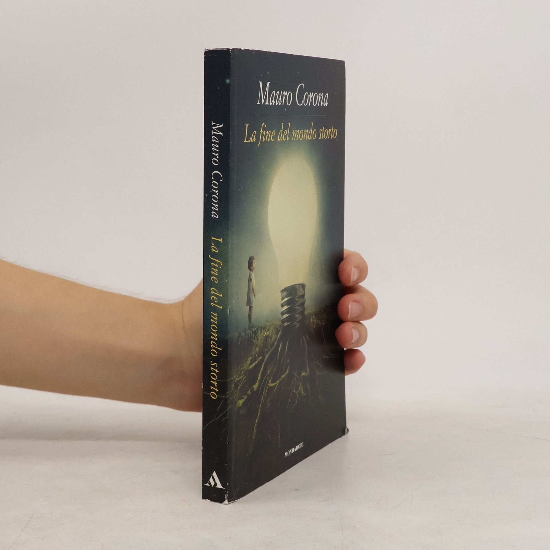 Sophie Kinsella La ragazza fantasma