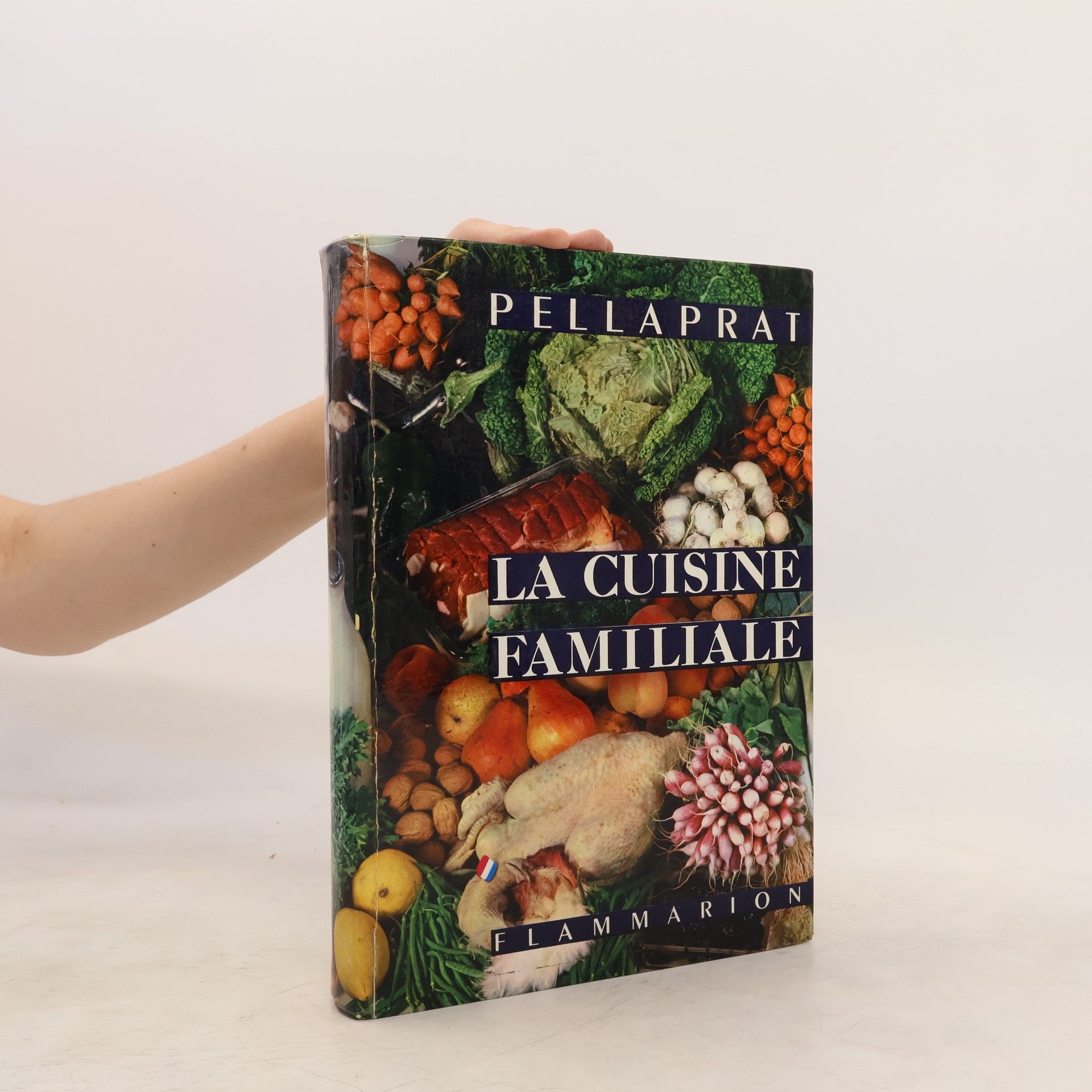 Henri Paul Pellaprat La Cuisine familiale et pratique