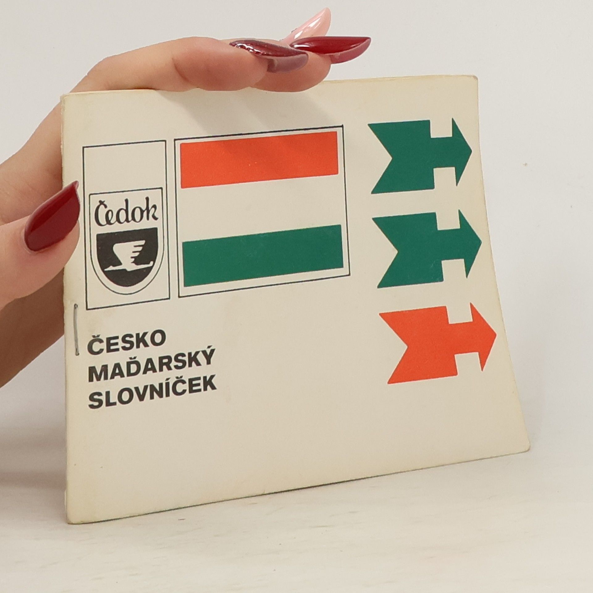 Kolektiv autorů Česko-maďarský slovníček