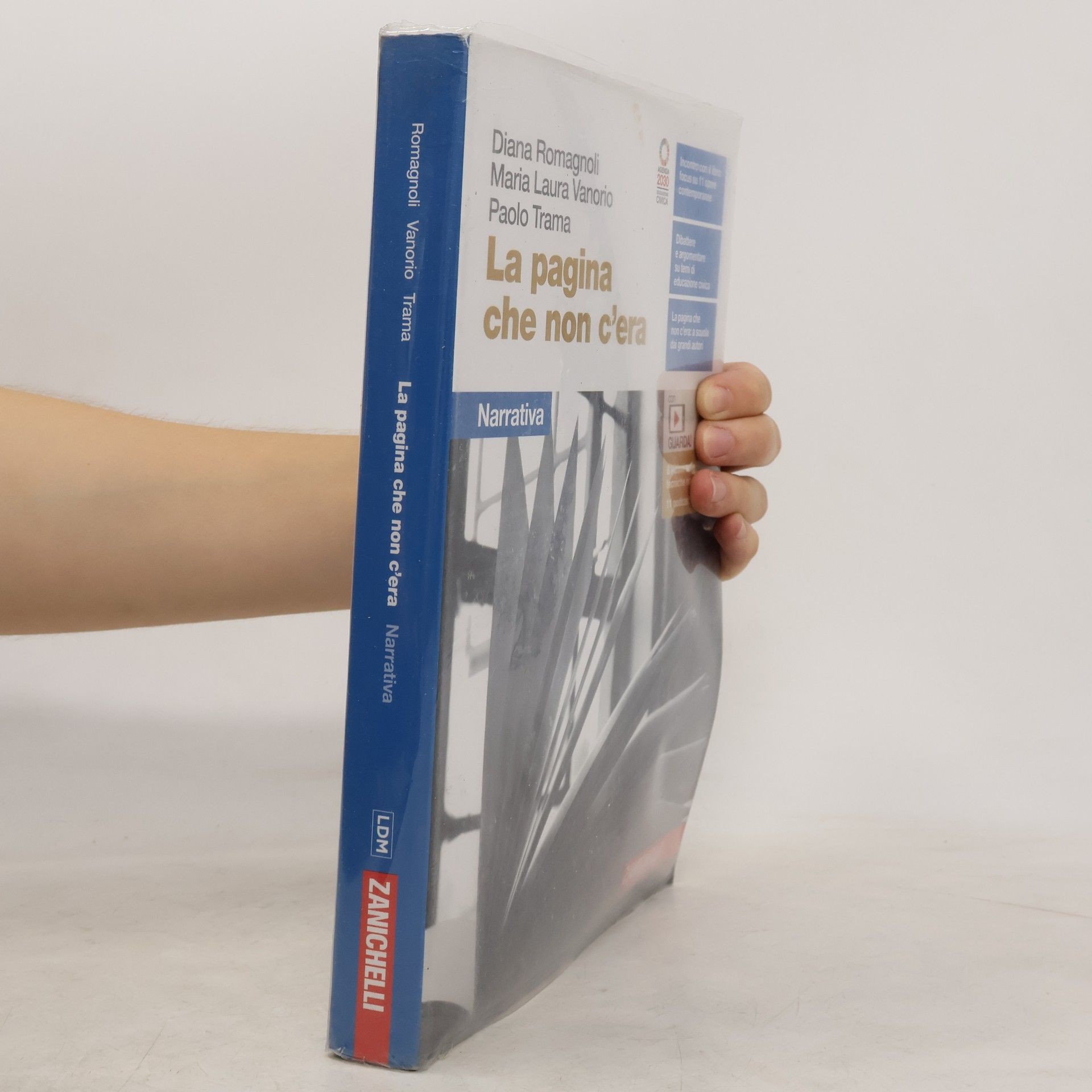 Diana Romagnoli La pagina che non c'era. Narrativa