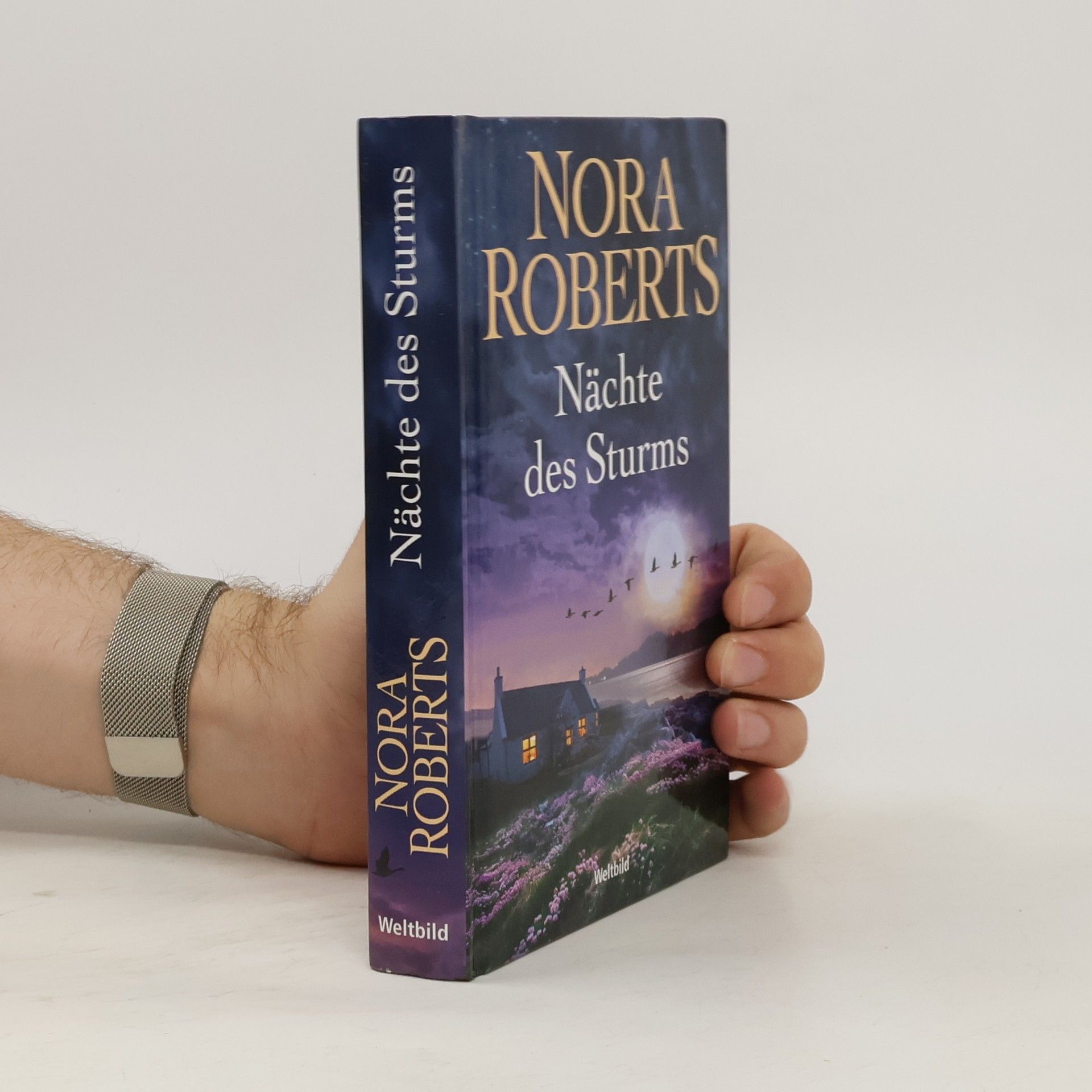 Nora Roberts Insel des Sturms